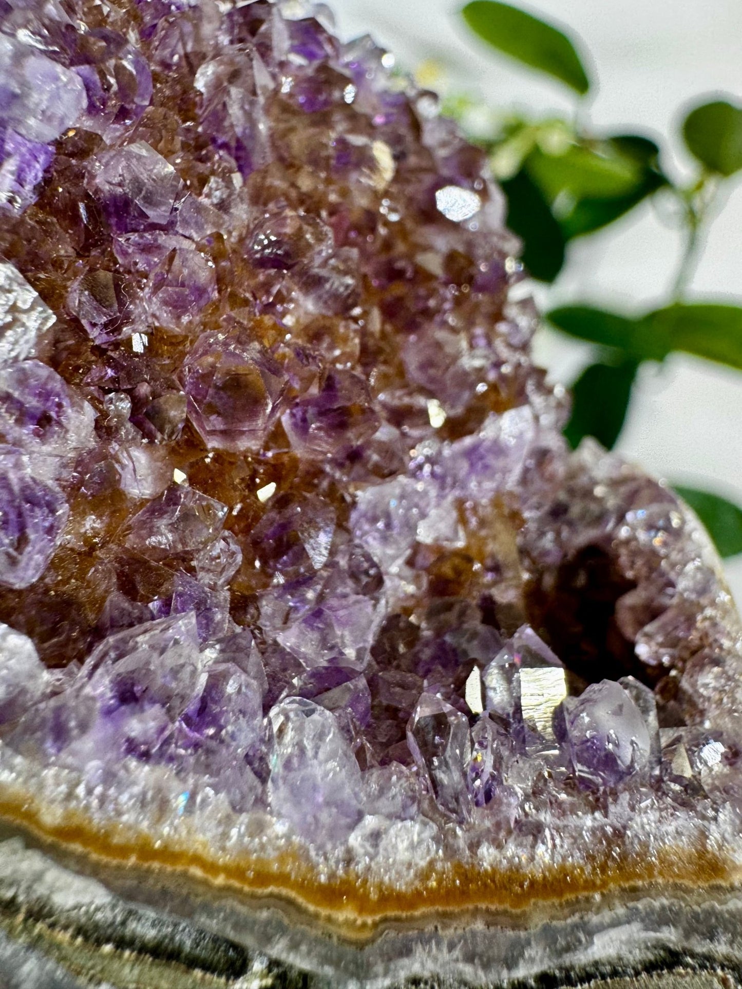 High Quality Amethyst Shoe | 218g - The Crystal Valley