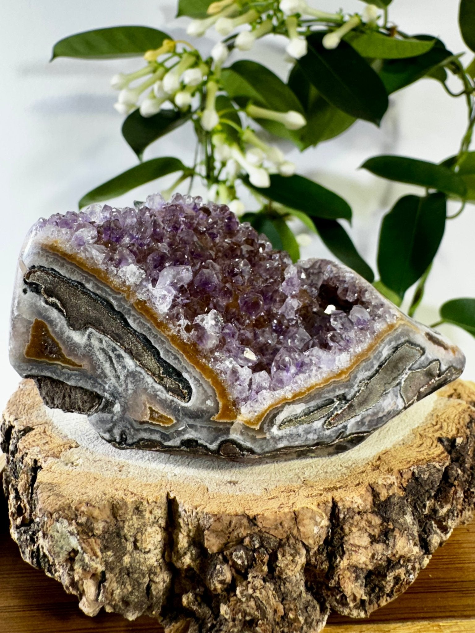 High Quality Amethyst Shoe | 218g - The Crystal Valley