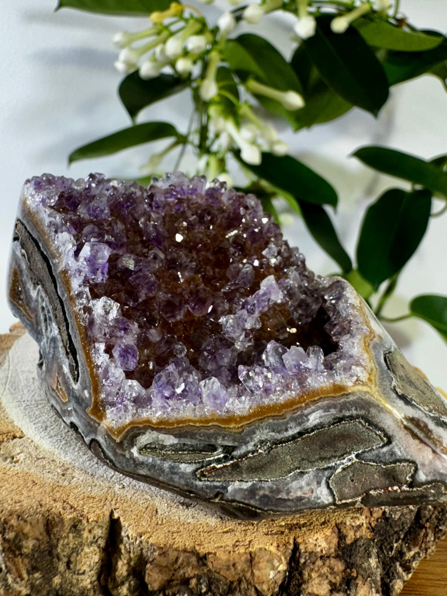 High Quality Amethyst Shoe | 218g - The Crystal Valley