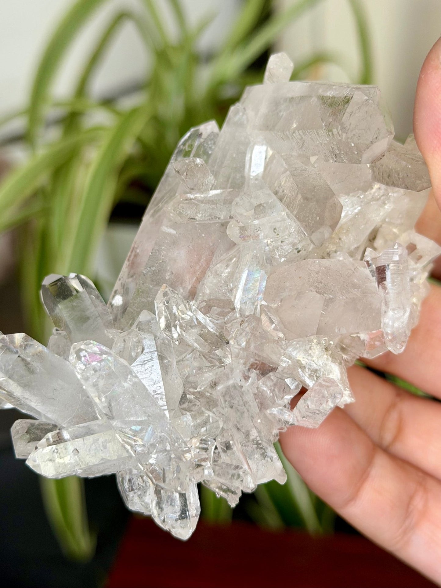High Quality Clear Quartz Cluster |106g - The Crystal Valley