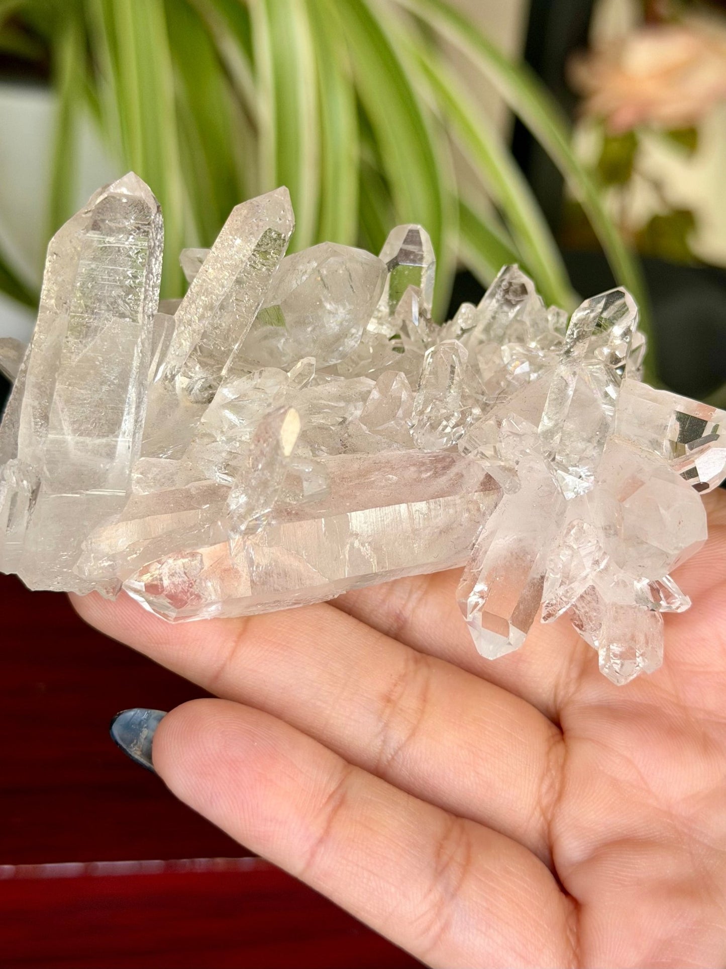 High Quality Clear Quartz Cluster |106g - The Crystal Valley