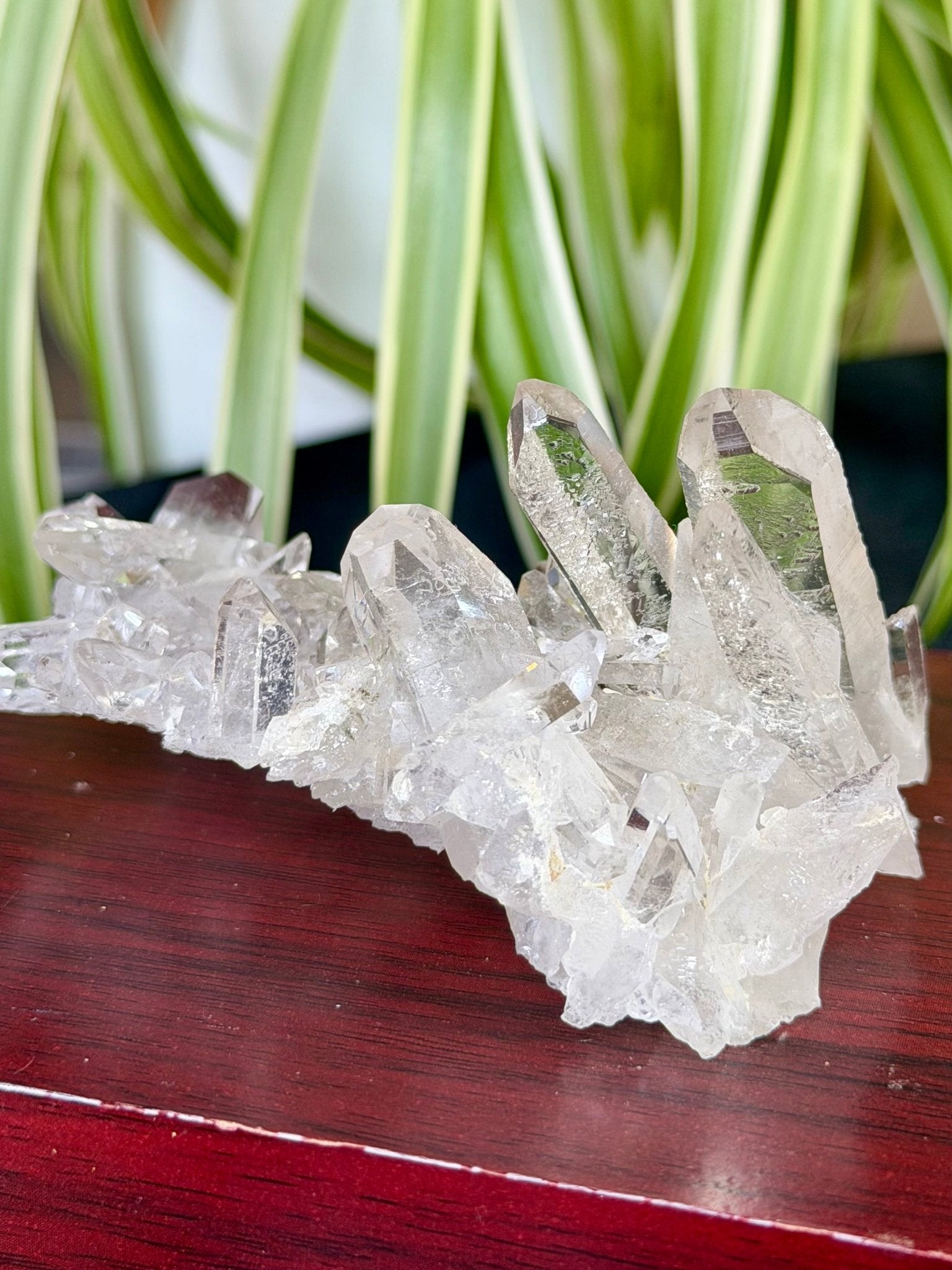 High Quality Clear Quartz Cluster |106g - The Crystal Valley