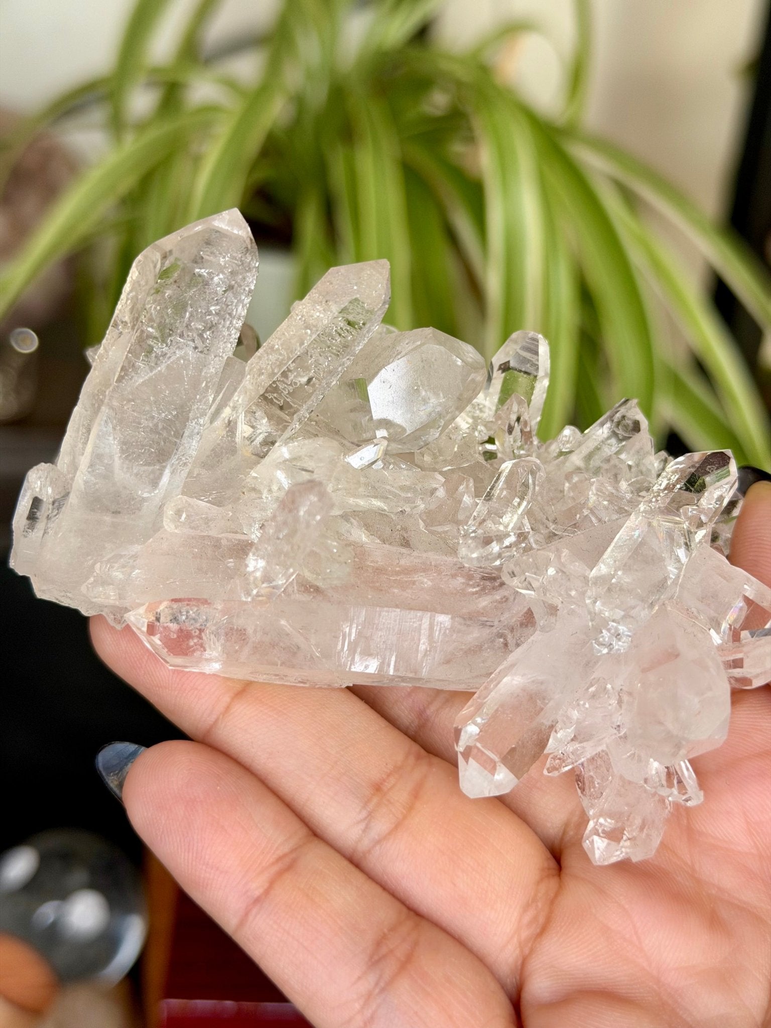 High Quality Clear Quartz Cluster |106g - The Crystal Valley