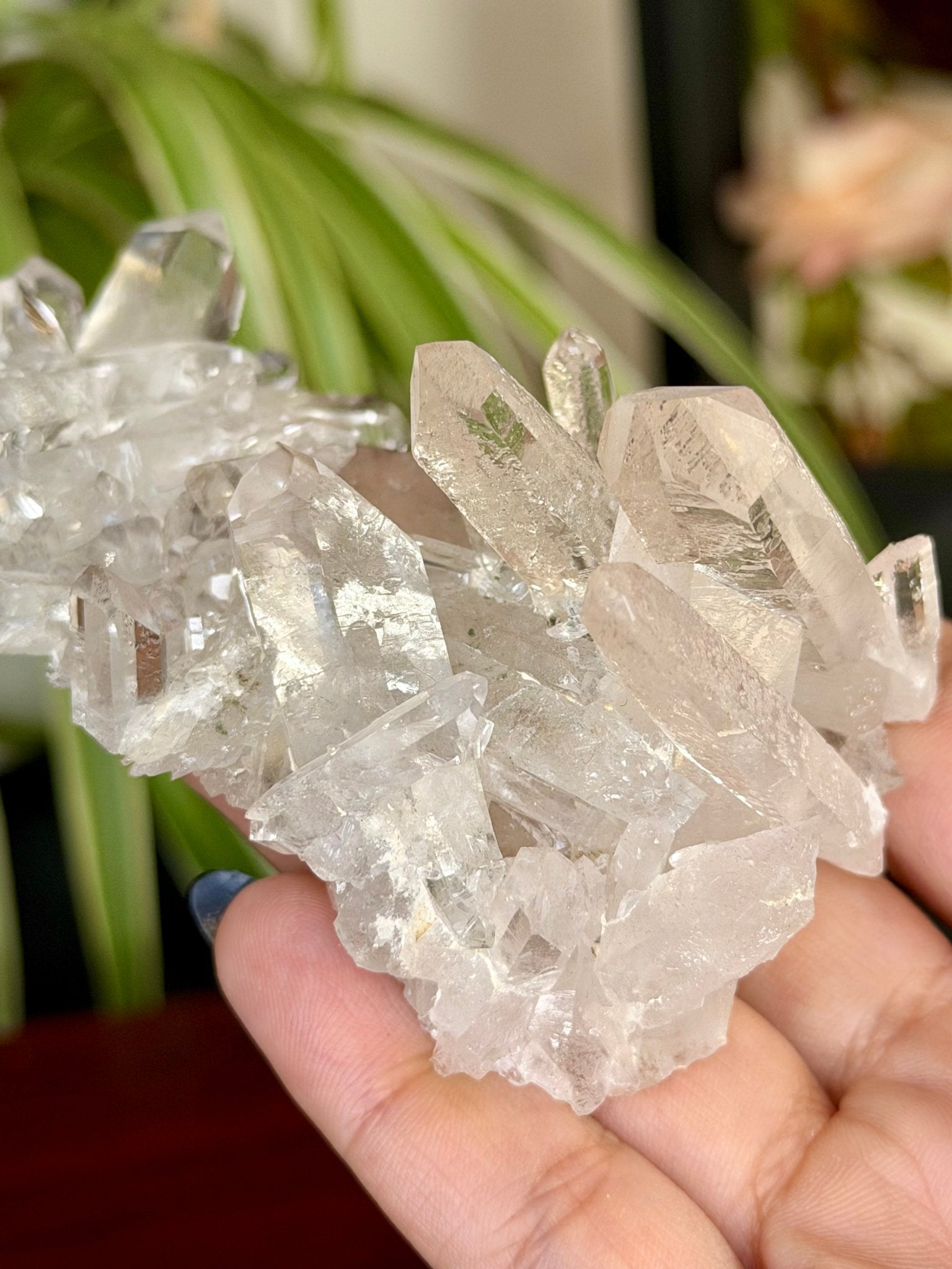 High Quality Clear Quartz Cluster |106g - The Crystal Valley