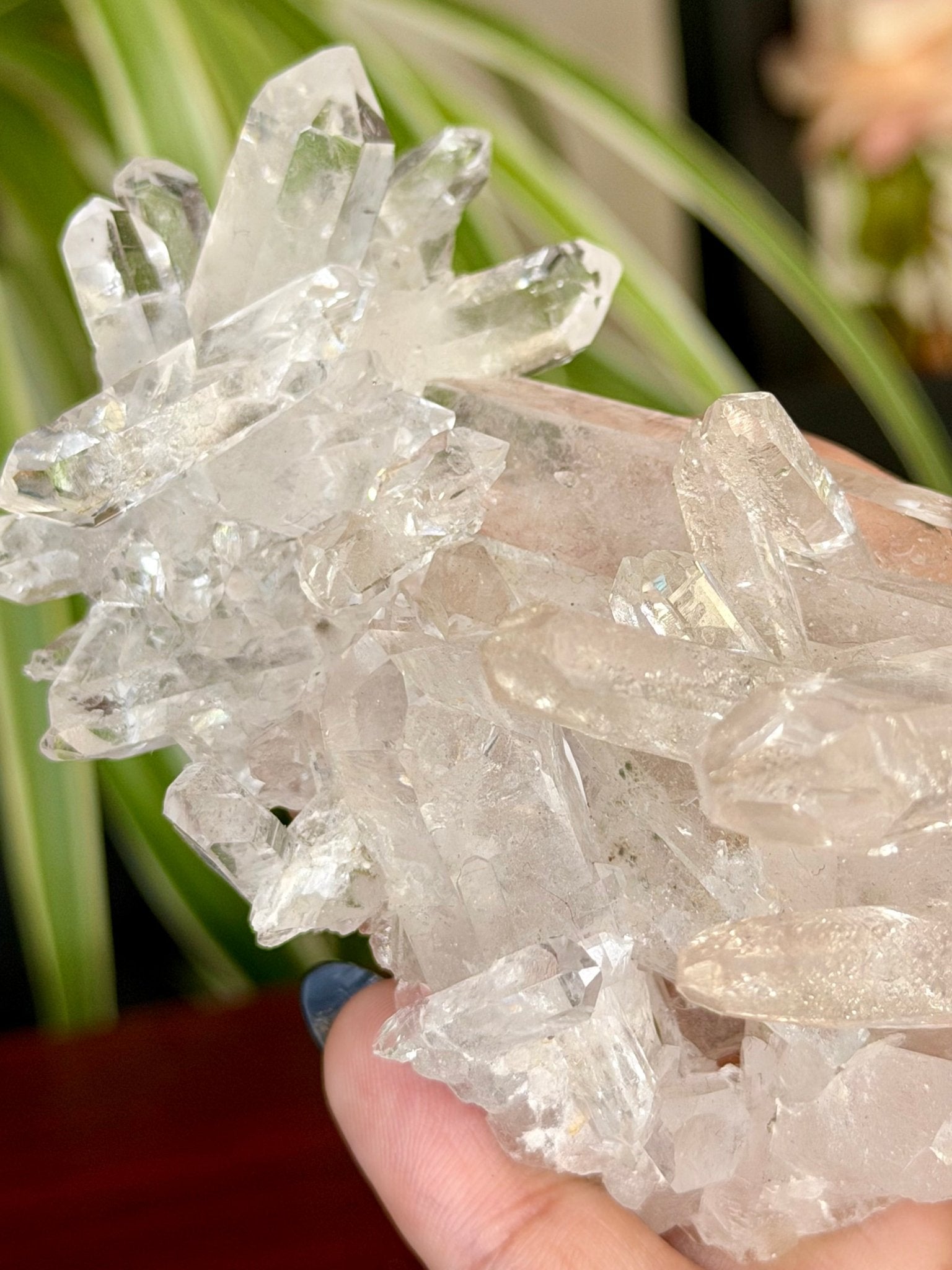High Quality Clear Quartz Cluster |106g - The Crystal Valley