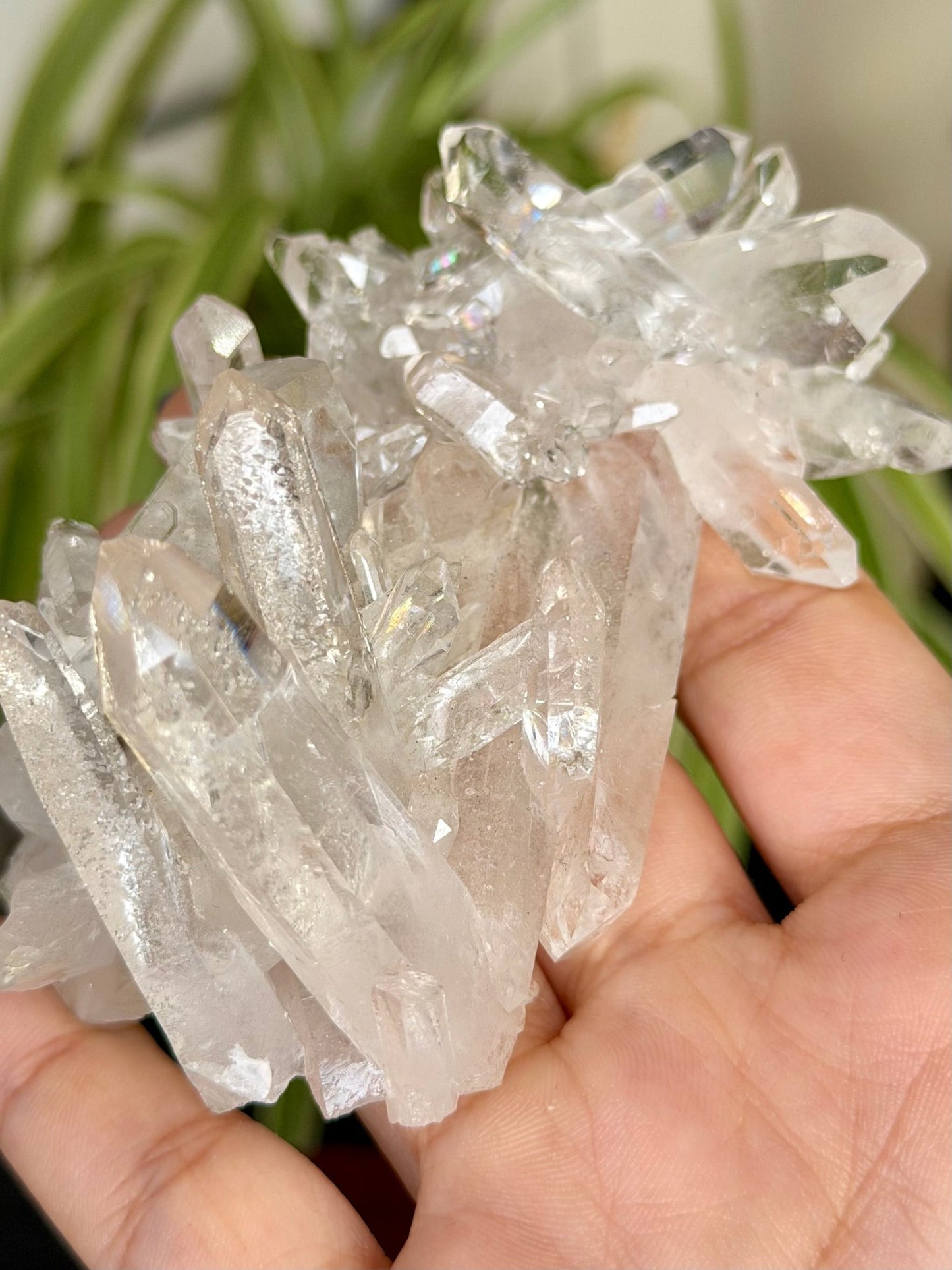 High Quality Clear Quartz Cluster |106g - The Crystal Valley