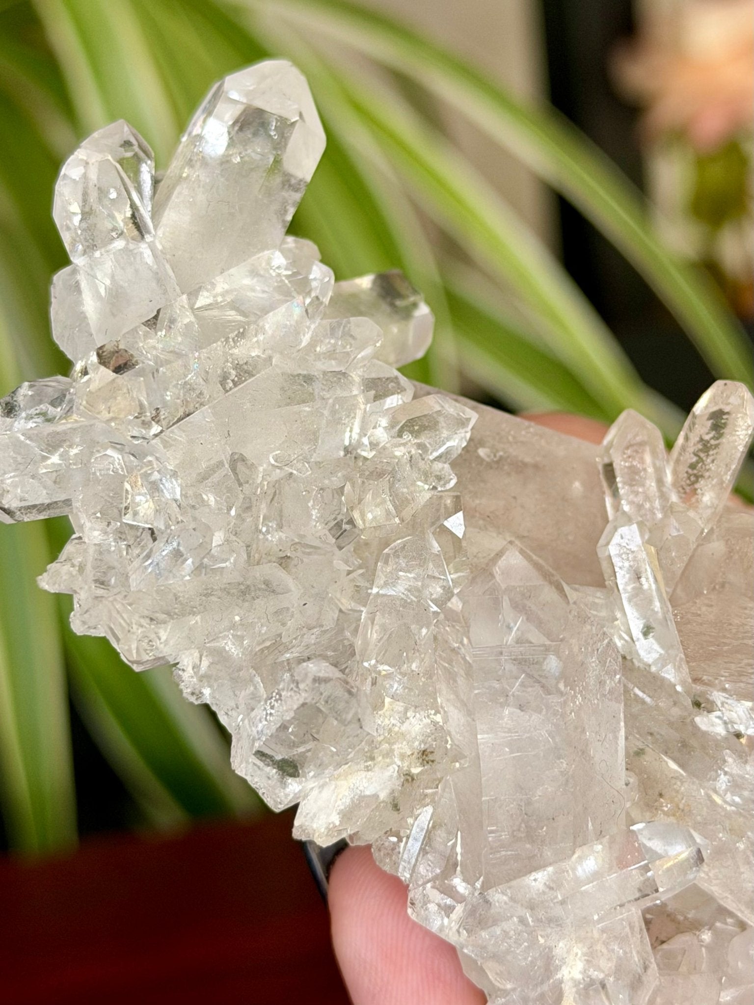 High Quality Clear Quartz Cluster |106g - The Crystal Valley