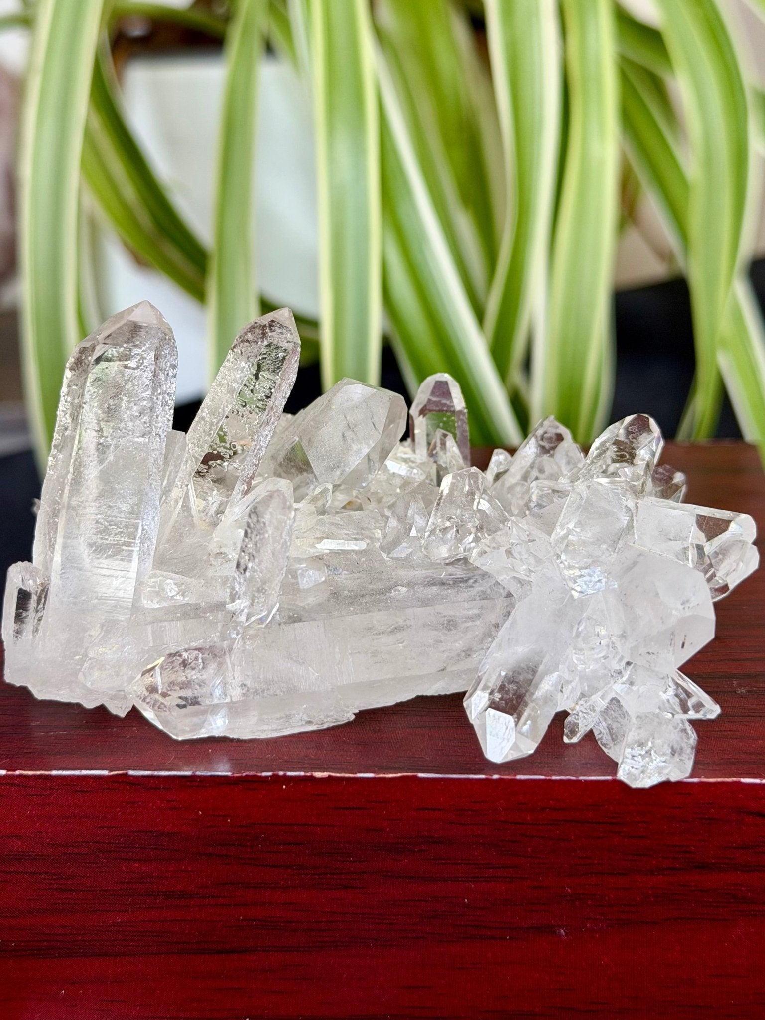 High Quality Clear Quartz Cluster |106g - The Crystal Valley