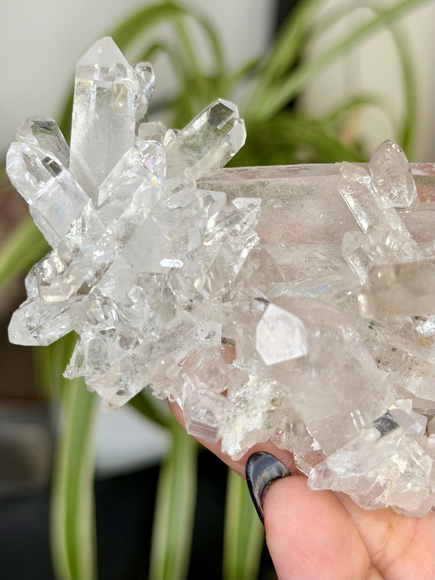 High Quality Clear Quartz Cluster |106g - The Crystal Valley