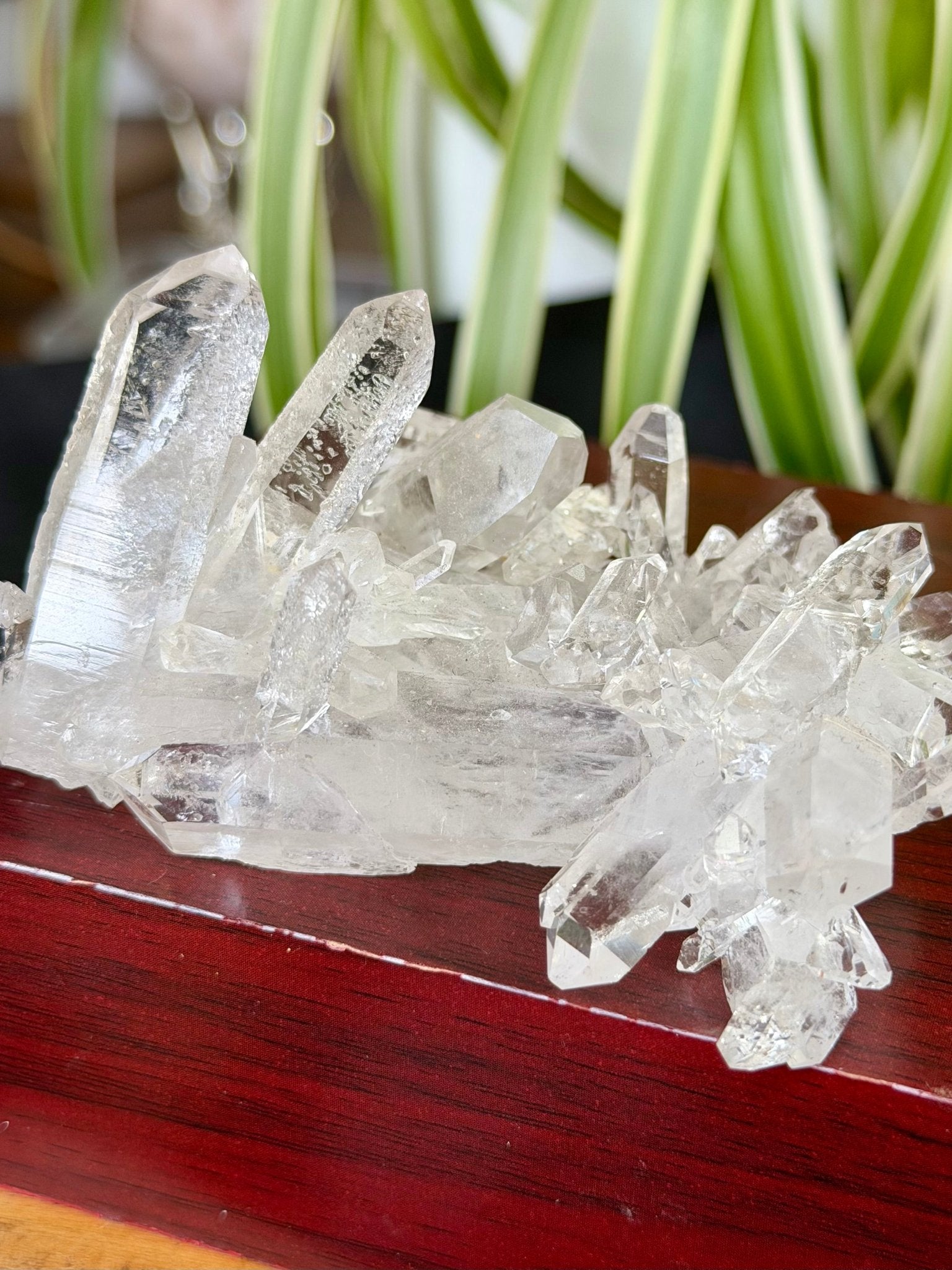 High Quality Clear Quartz Cluster |106g - The Crystal Valley