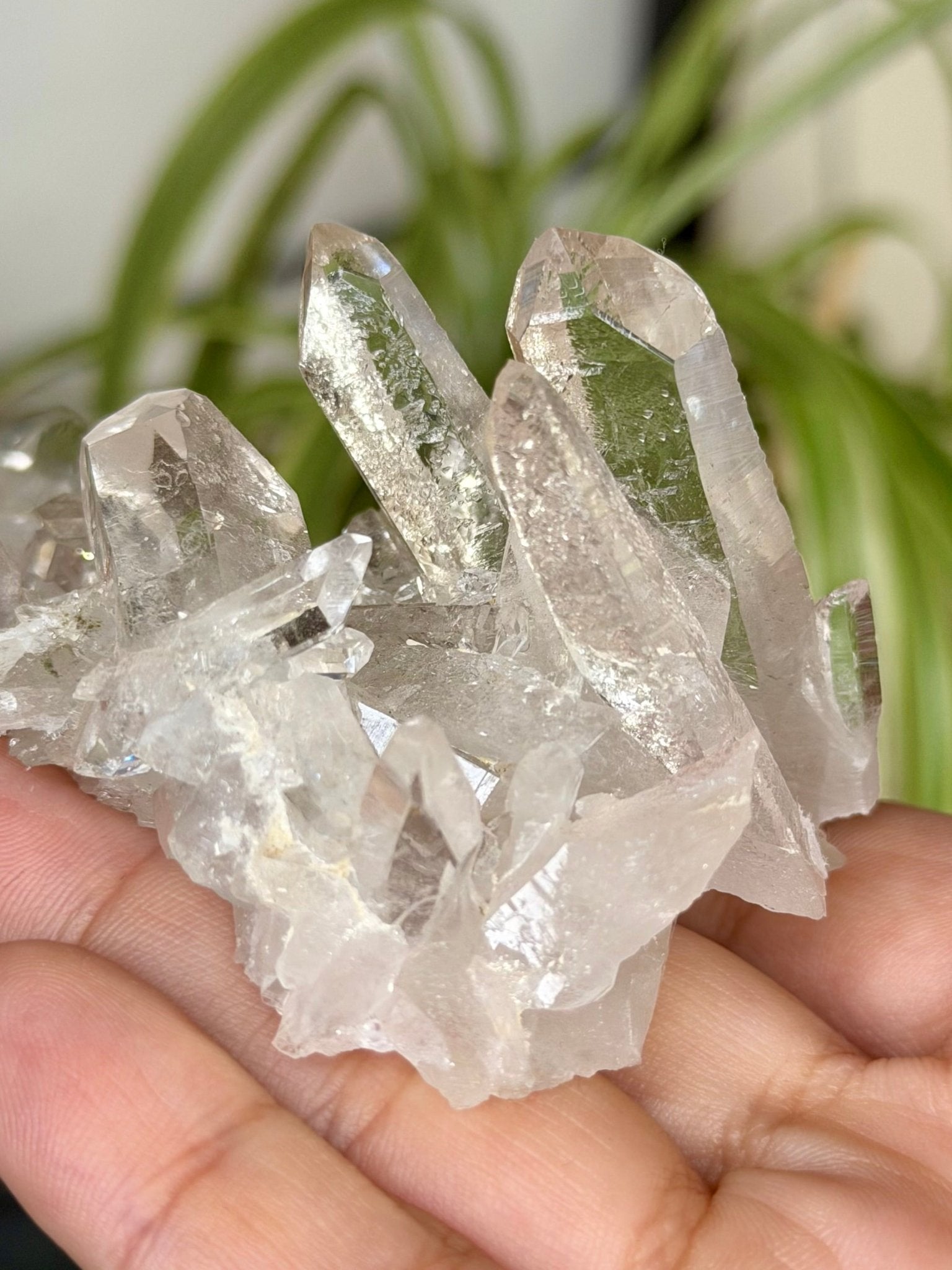 High Quality Clear Quartz Cluster |106g - The Crystal Valley