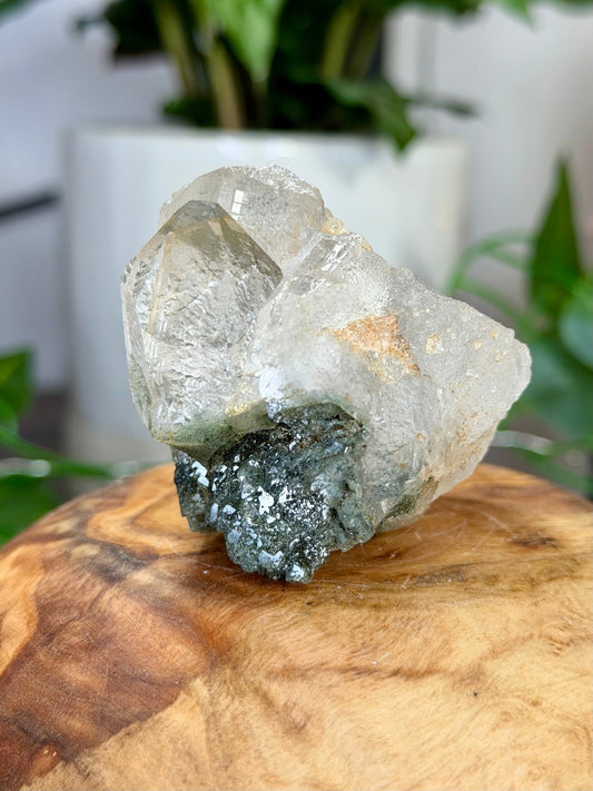 High Quality Himalayan Quartz with Chlorite | 135g - The Crystal Valley