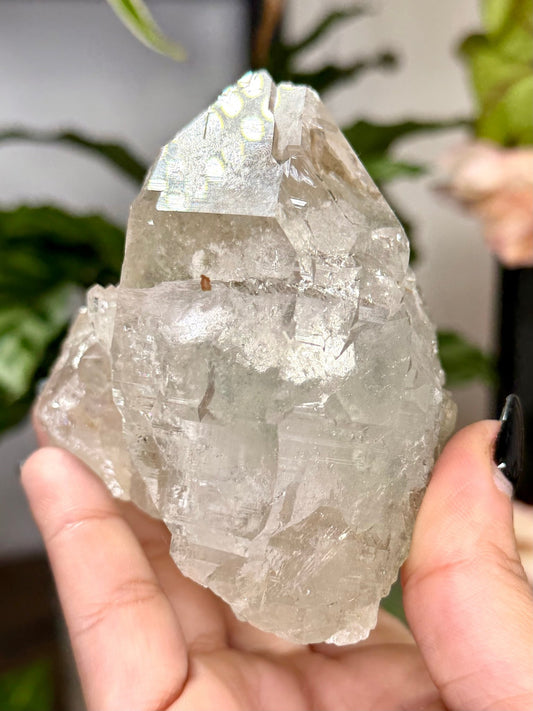 High Quality Himalayan Quartz with Chlorite | 292g - The Crystal Valley