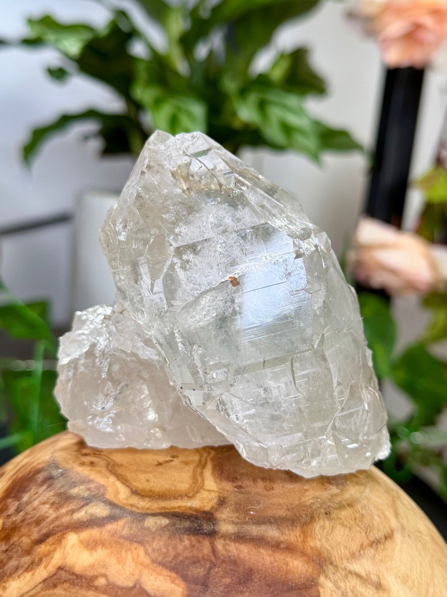 High Quality Himalayan Quartz with Chlorite | 292g - The Crystal Valley