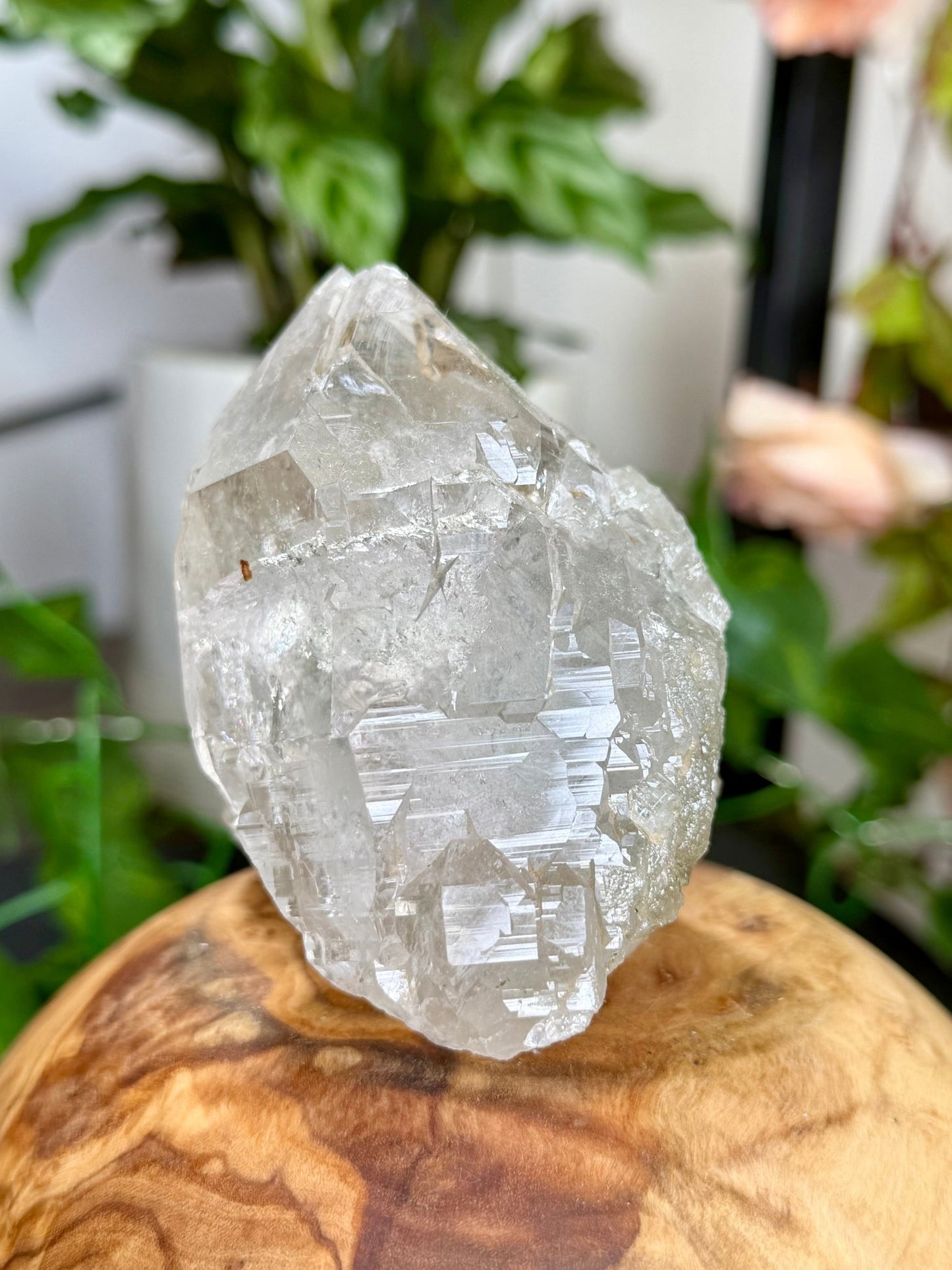 High Quality Himalayan Quartz with Chlorite | 292g - The Crystal Valley