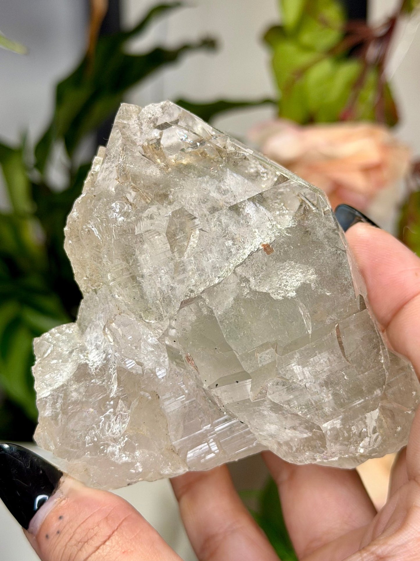 High Quality Himalayan Quartz with Chlorite | 292g - The Crystal Valley