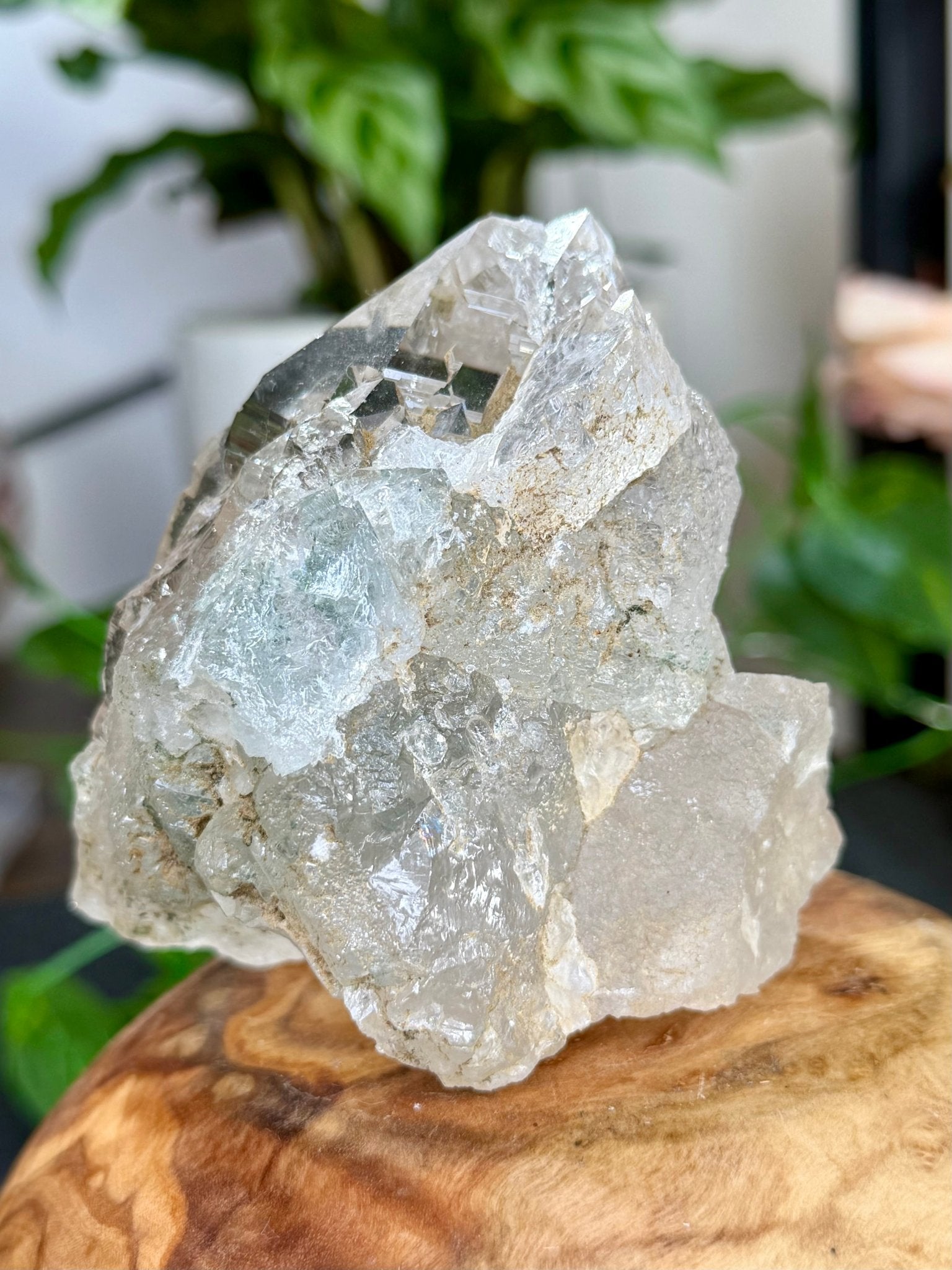 High Quality Himalayan Quartz with Chlorite | 292g - The Crystal Valley