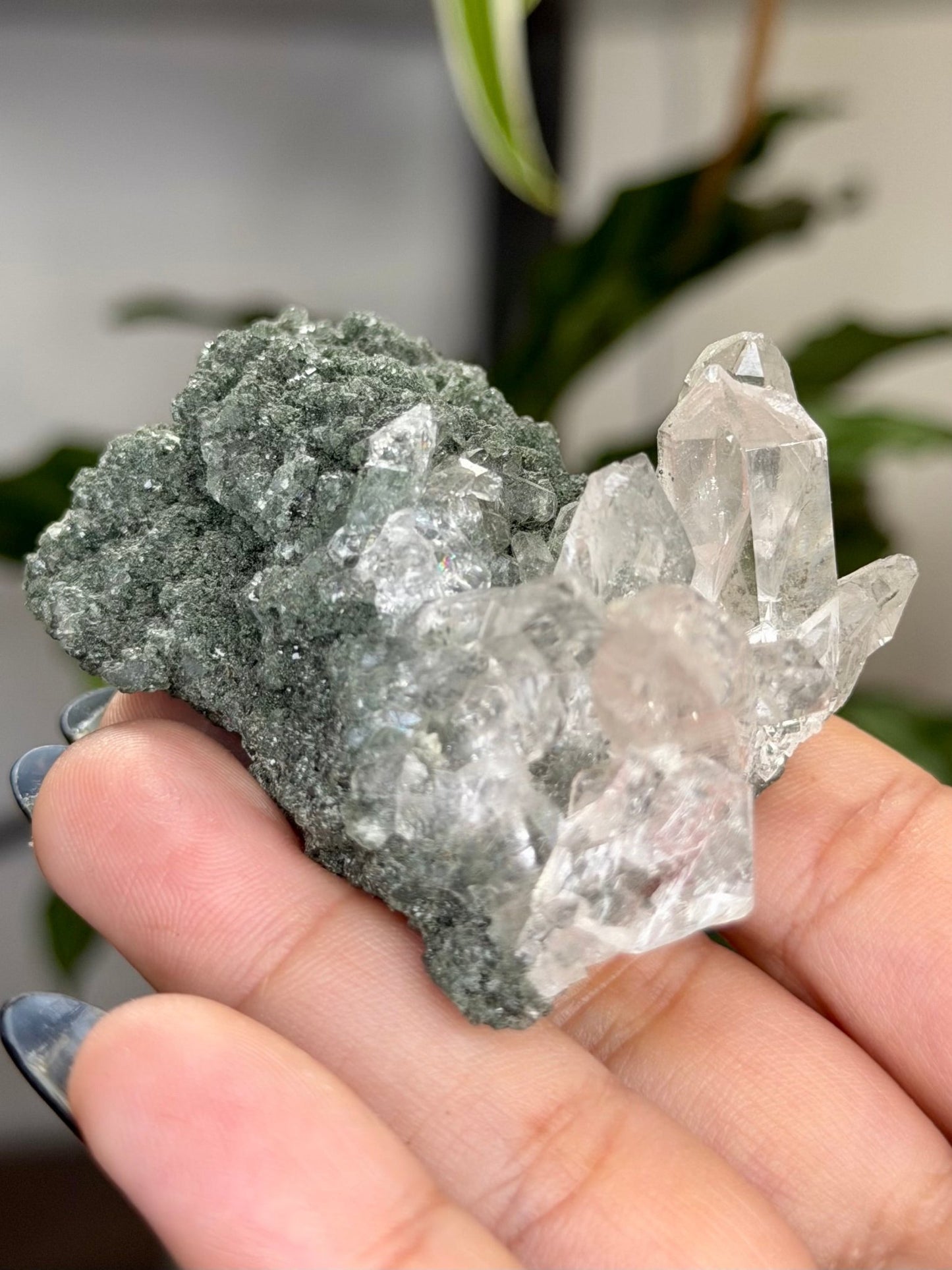 High Quality Himalayan Quartz with Chlorite | 62g - The Crystal Valley