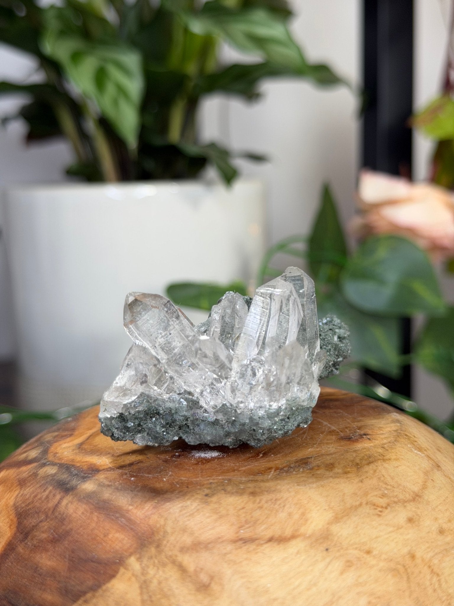 High Quality Himalayan Quartz with Chlorite | 62g - The Crystal Valley