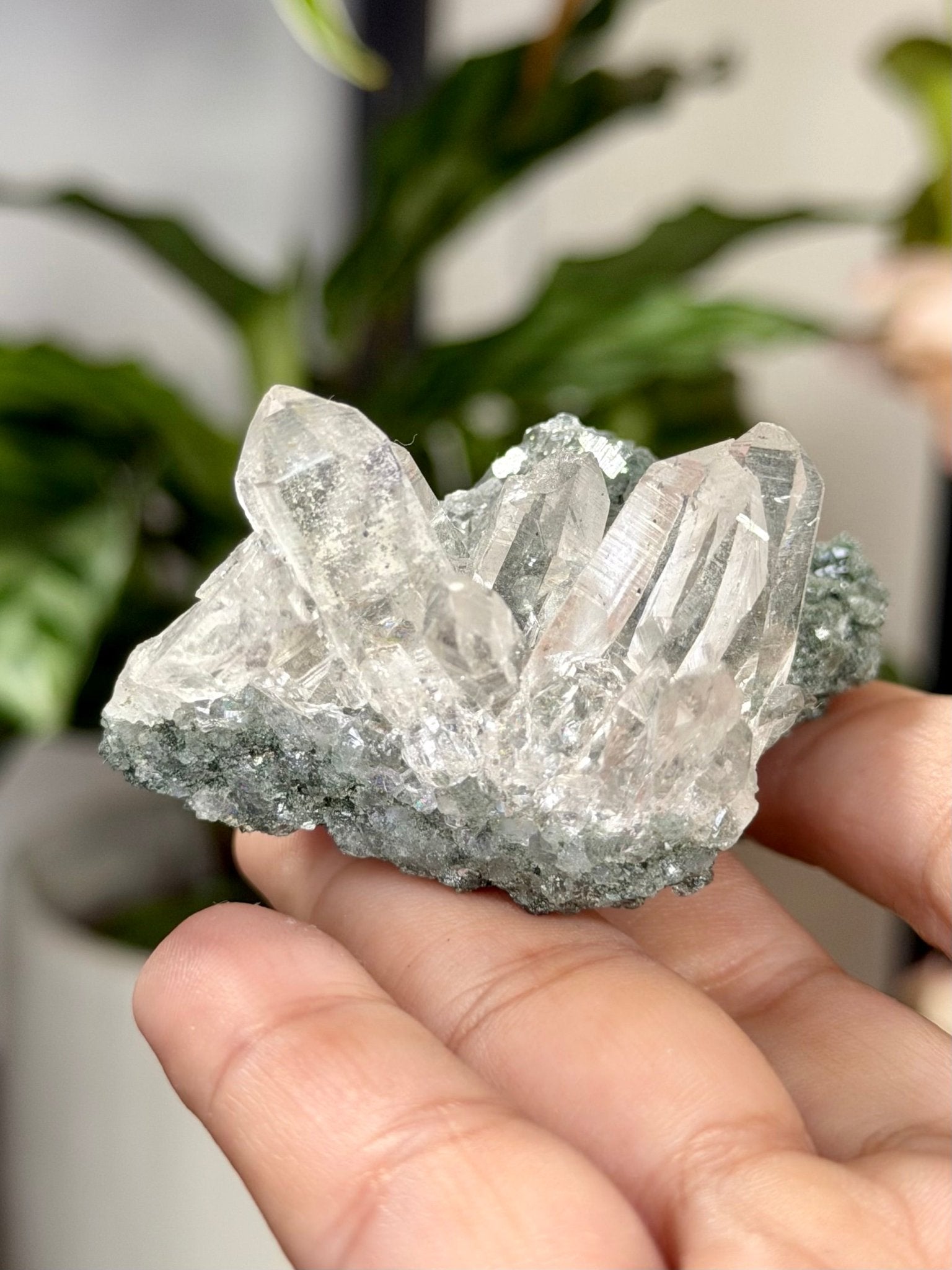 High Quality Himalayan Quartz with Chlorite | 62g - The Crystal Valley
