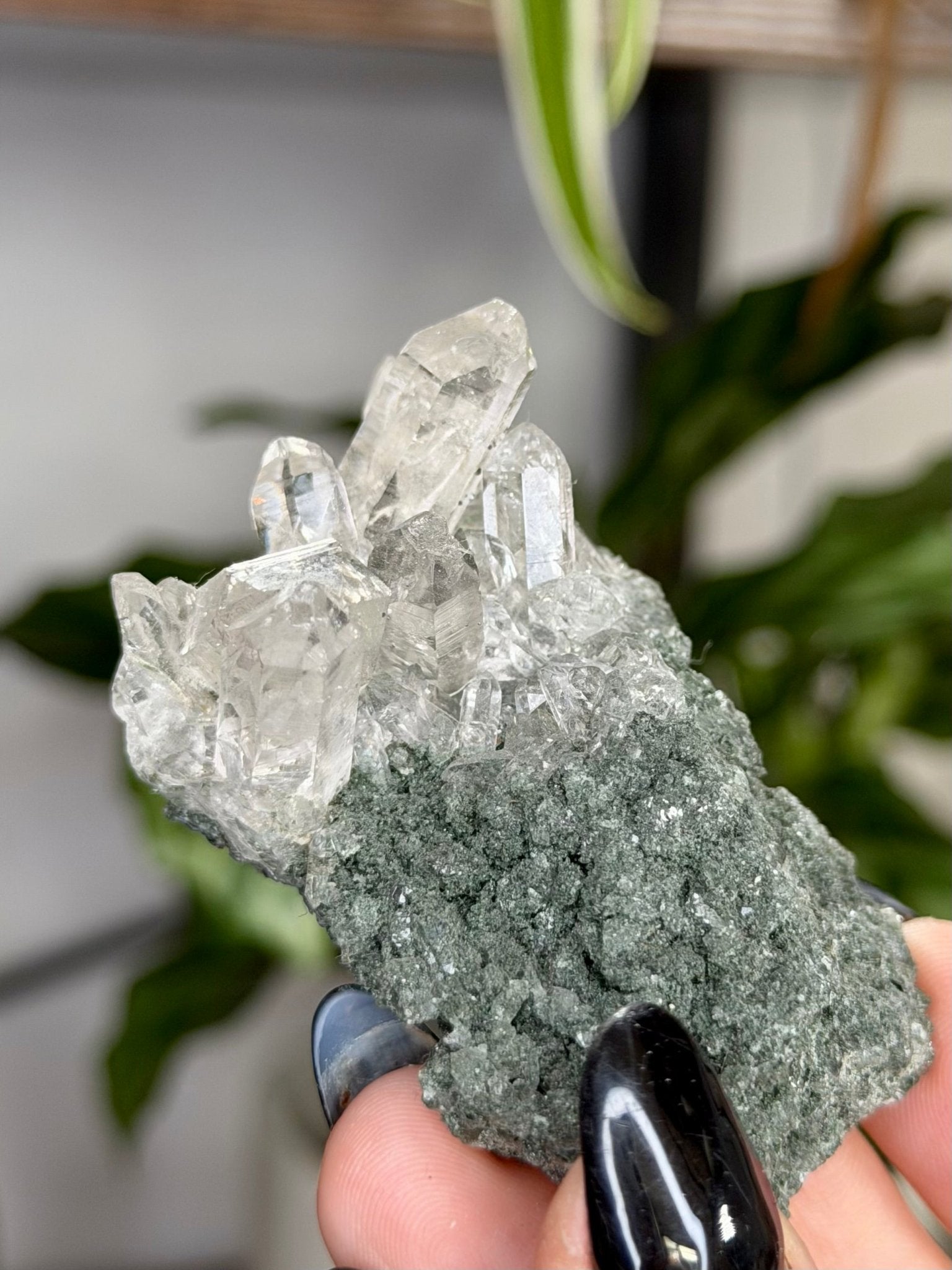 High Quality Himalayan Quartz with Chlorite | 62g - The Crystal Valley