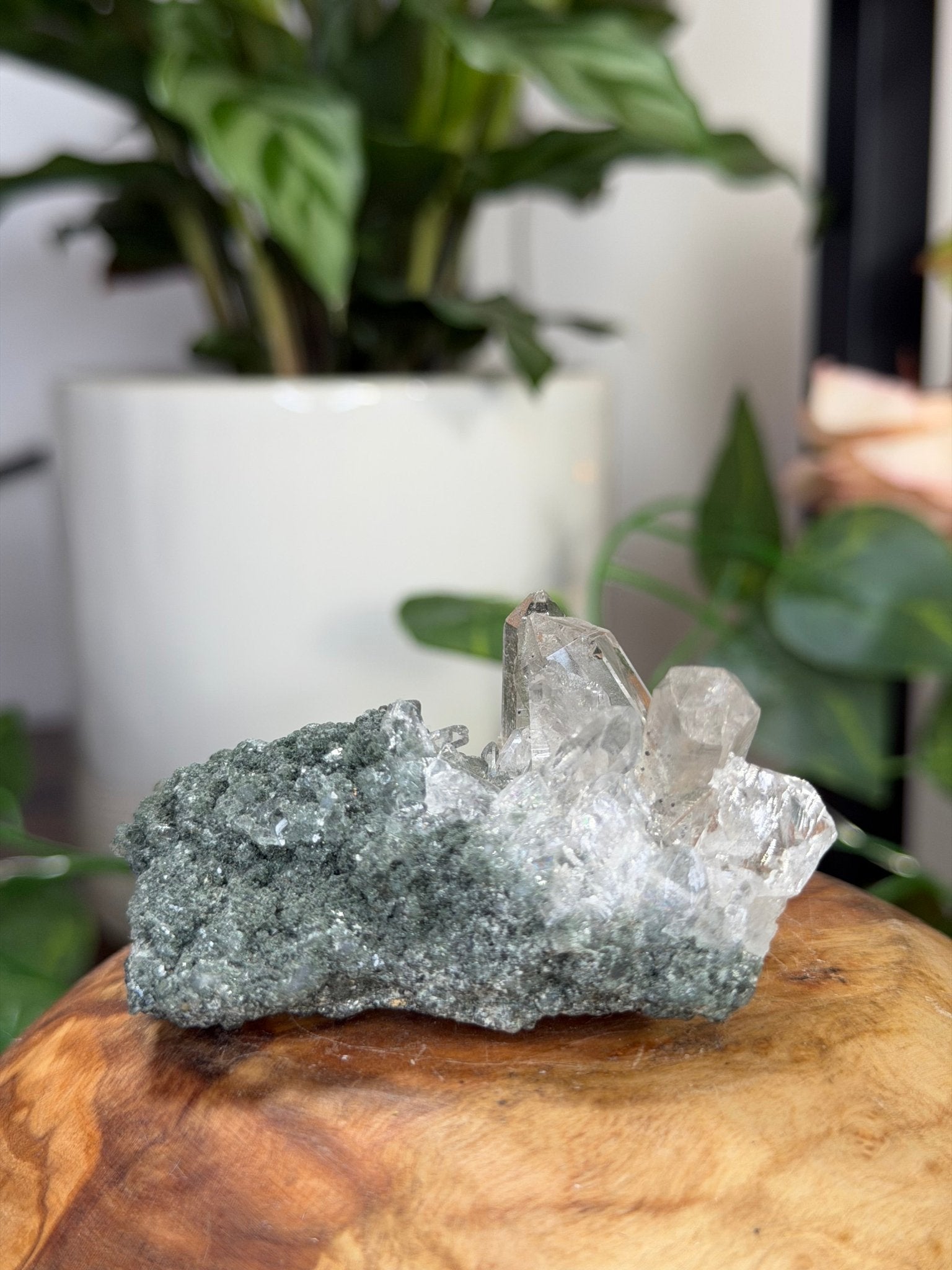 High Quality Himalayan Quartz with Chlorite | 62g - The Crystal Valley