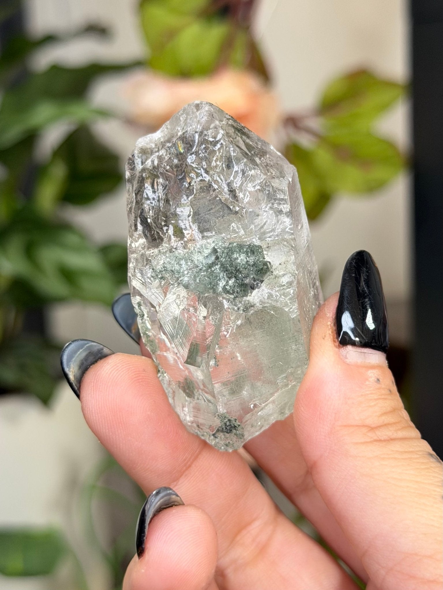 High Quality Himalayan Quartz with Chlorite Point | 49g - The Crystal Valley