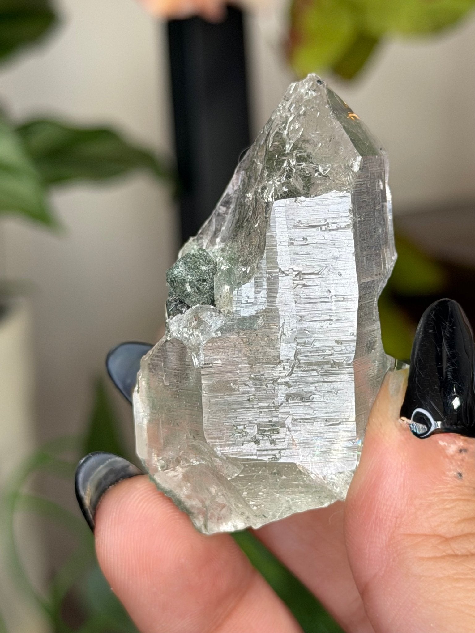 High Quality Himalayan Quartz with Chlorite Point | 49g - The Crystal Valley