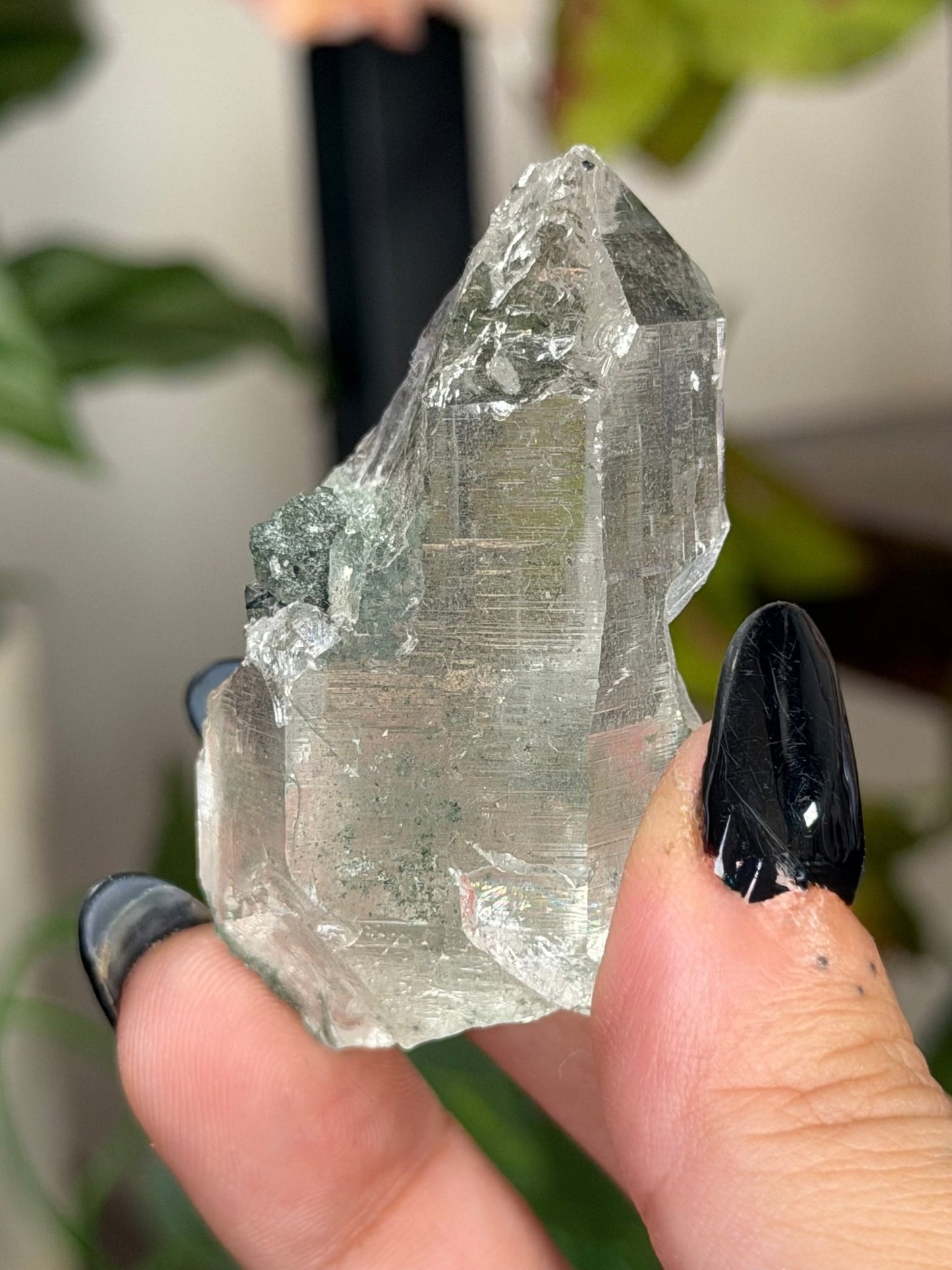 High Quality Himalayan Quartz with Chlorite Point | 49g - The Crystal Valley