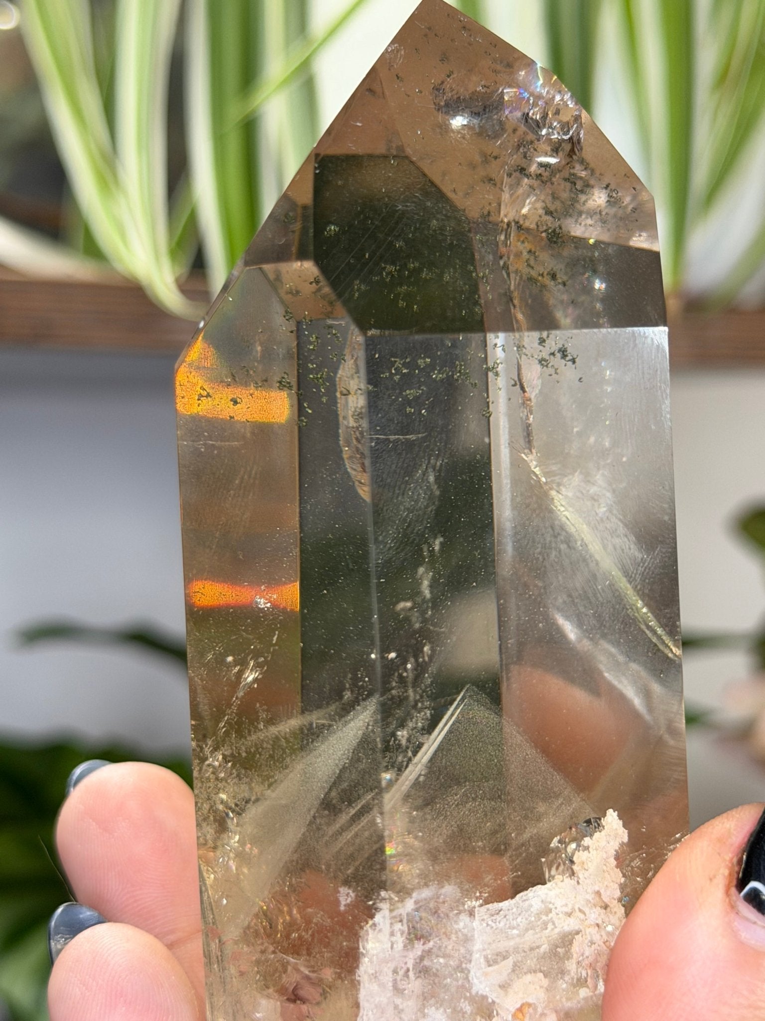 High Quality Natural Brazilian Champagne Citrine with Phanthon | 360g - The Crystal Valley