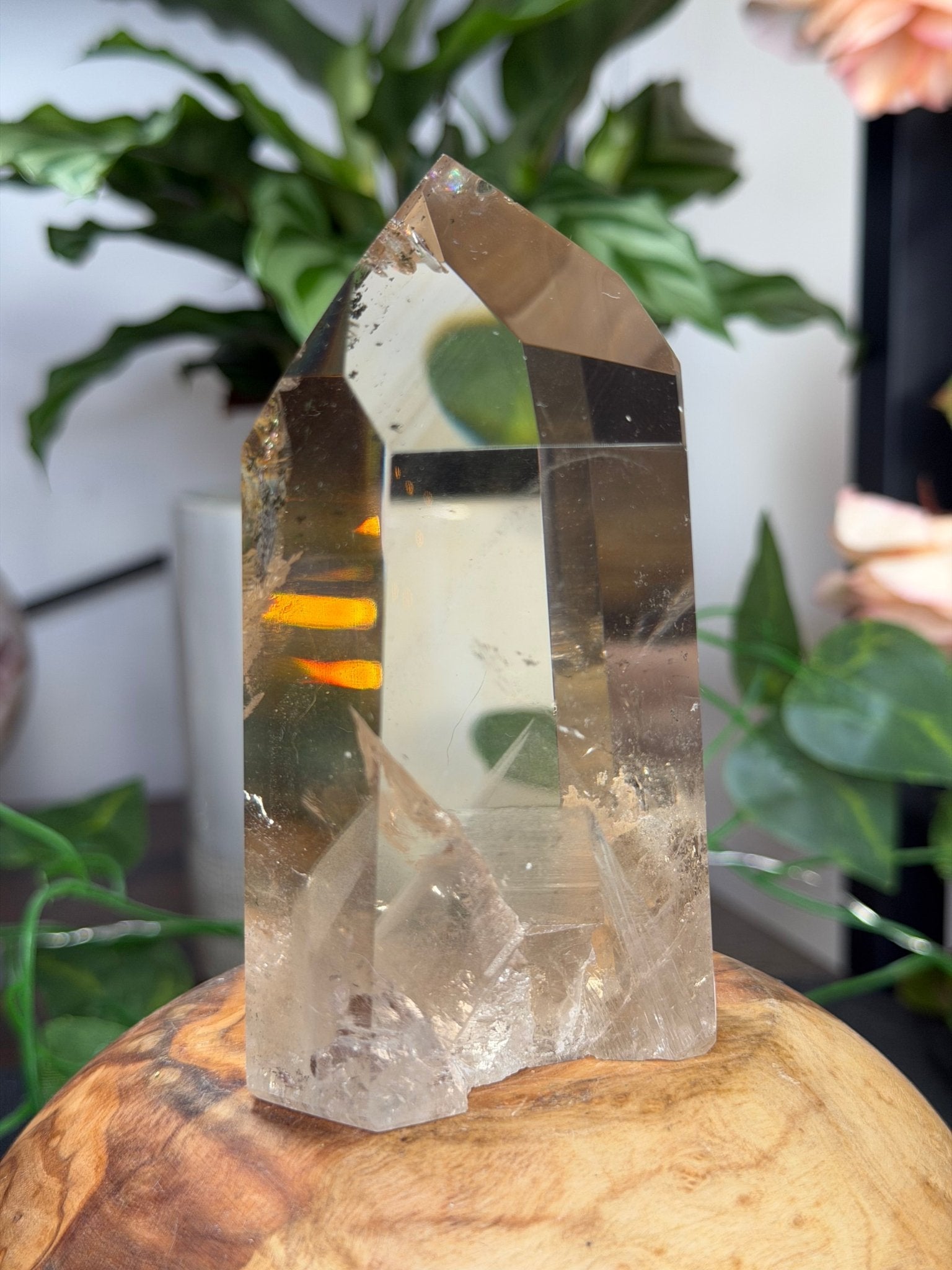High Quality Natural Brazilian Champagne Citrine with Phanthon | 360g - The Crystal Valley