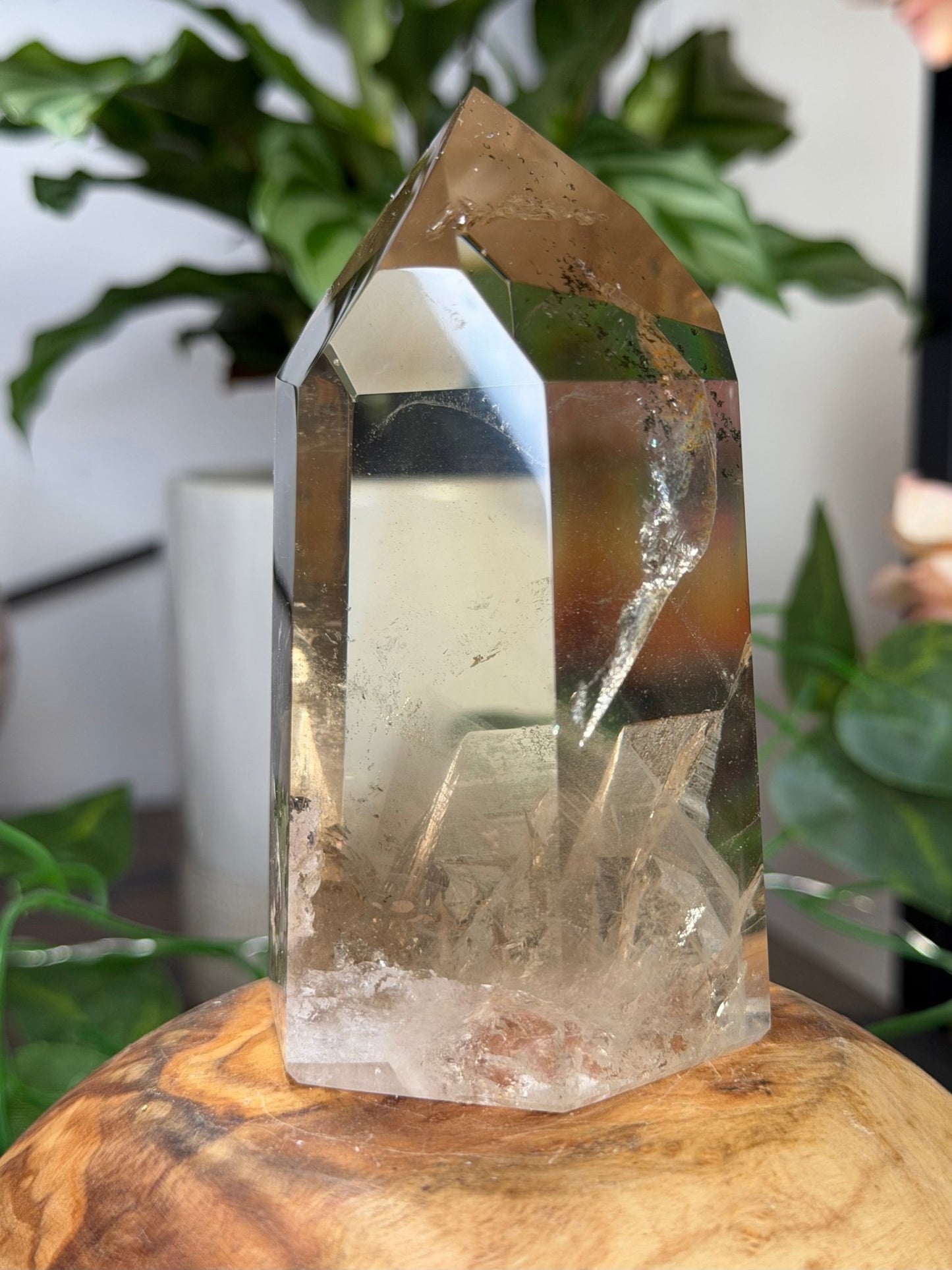 High Quality Natural Brazilian Champagne Citrine with Phanthon | 360g - The Crystal Valley