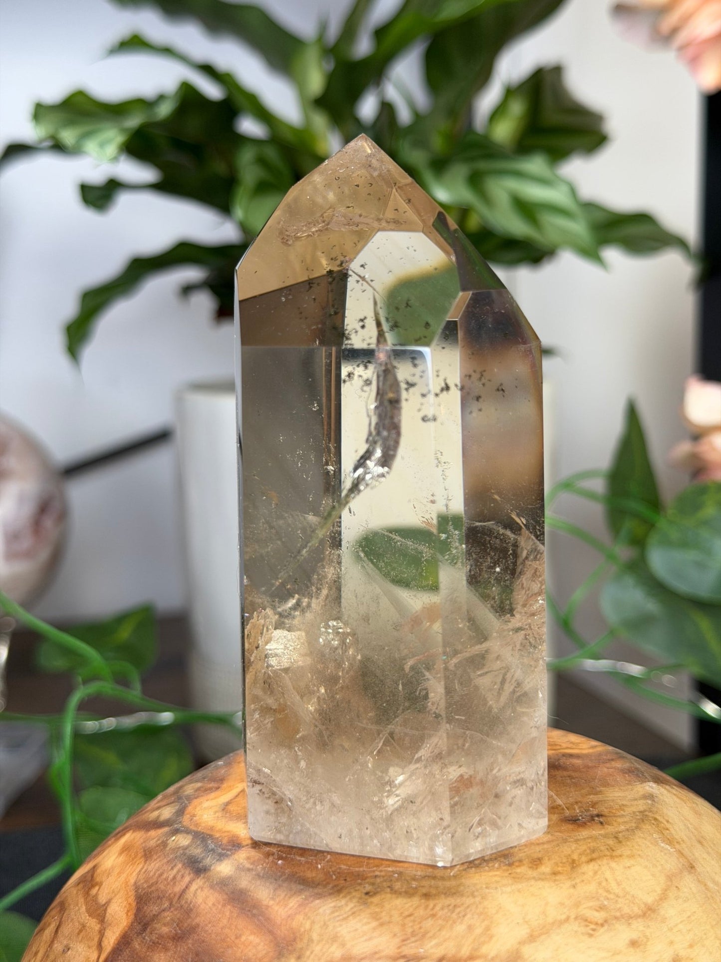 High Quality Natural Brazilian Champagne Citrine with Phanthon | 360g - The Crystal Valley