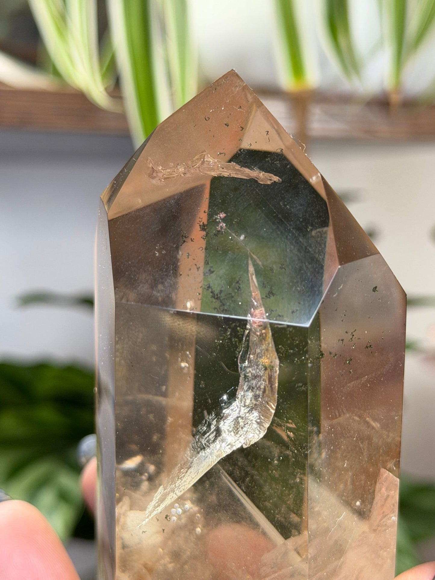 High Quality Natural Brazilian Champagne Citrine with Phanthon | 360g - The Crystal Valley