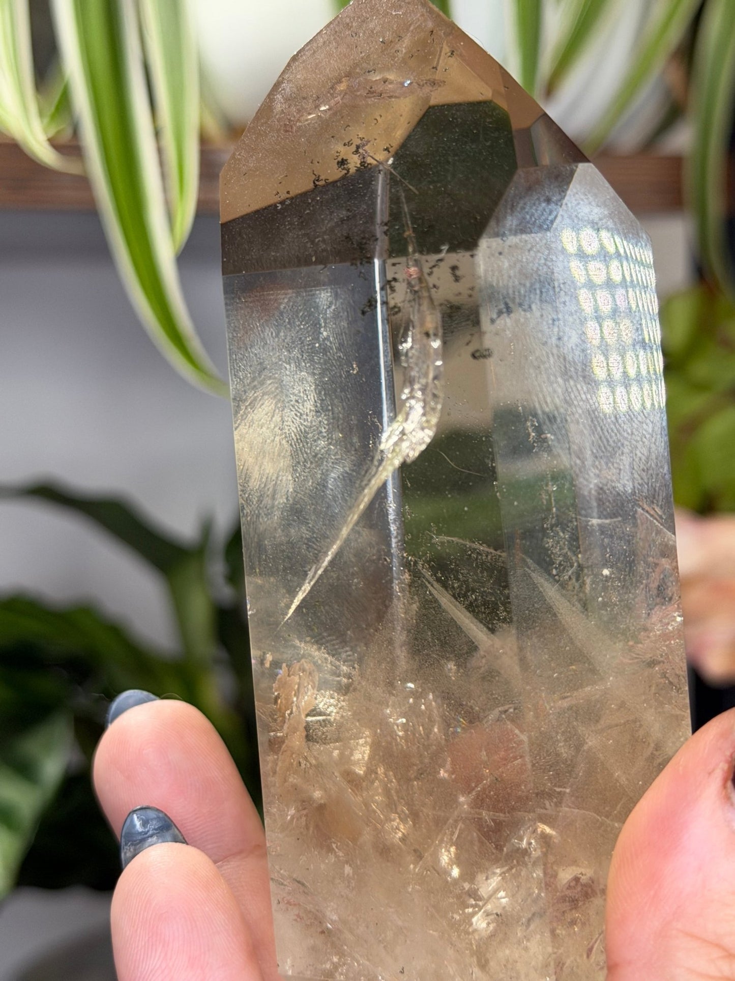 High Quality Natural Brazilian Champagne Citrine with Phanthon | 360g - The Crystal Valley