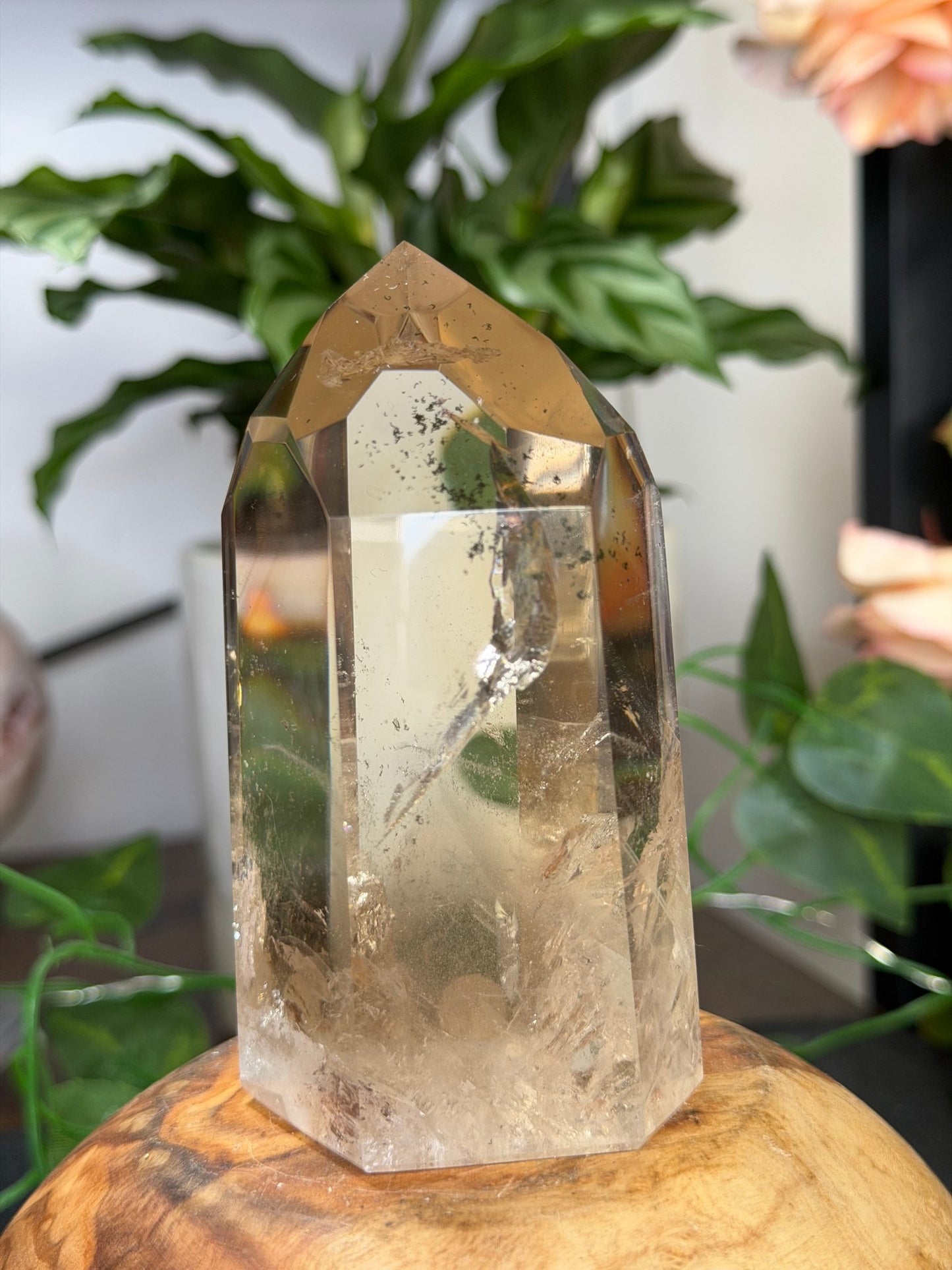 High Quality Natural Brazilian Champagne Citrine with Phanthon | 360g - The Crystal Valley