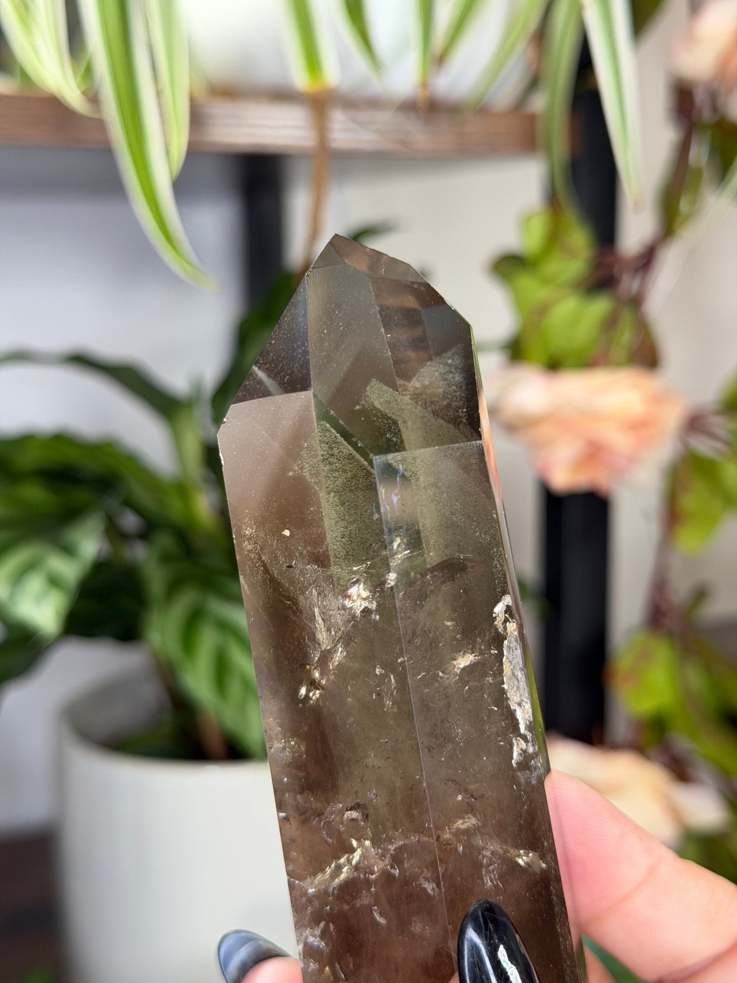 High Quality Natural Brazilian Honey Citrine with Phanthon | 211g - The Crystal Valley