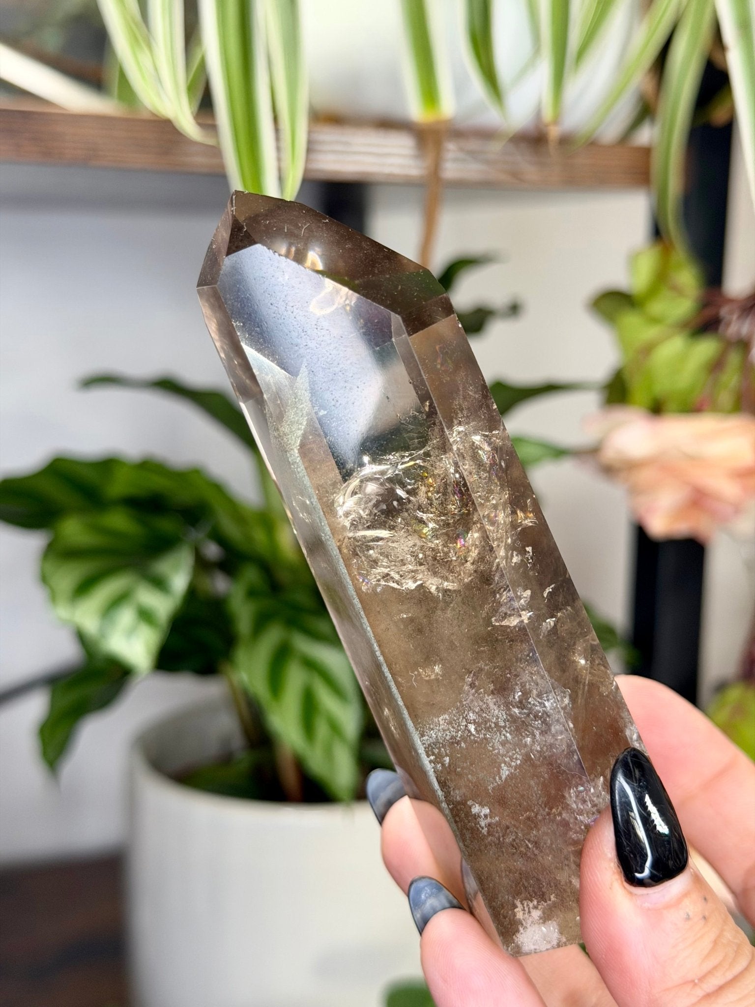 High Quality Natural Brazilian Honey Citrine with Phanthon | 211g - The Crystal Valley