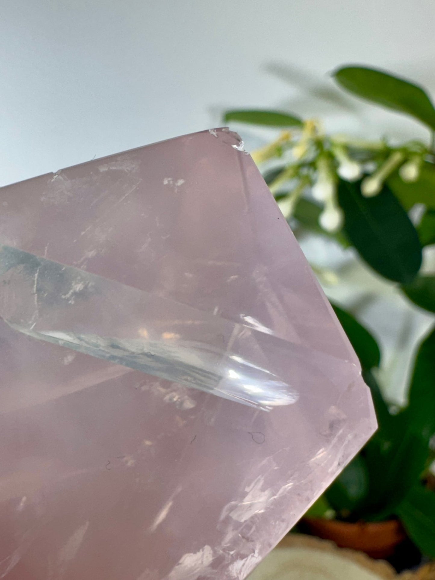 High Quality Rose Quartz Free Form | 146g | Discounted (chipped) - The Crystal Valley
