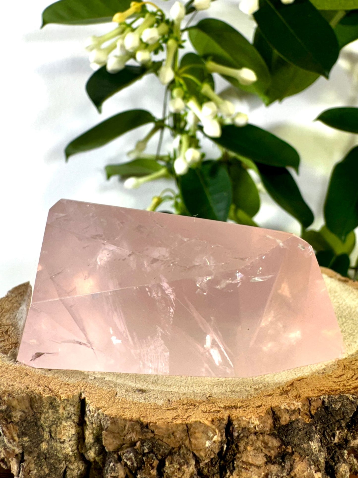 High Quality Rose Quartz Free Form | 146g | Discounted (chipped) - The Crystal Valley