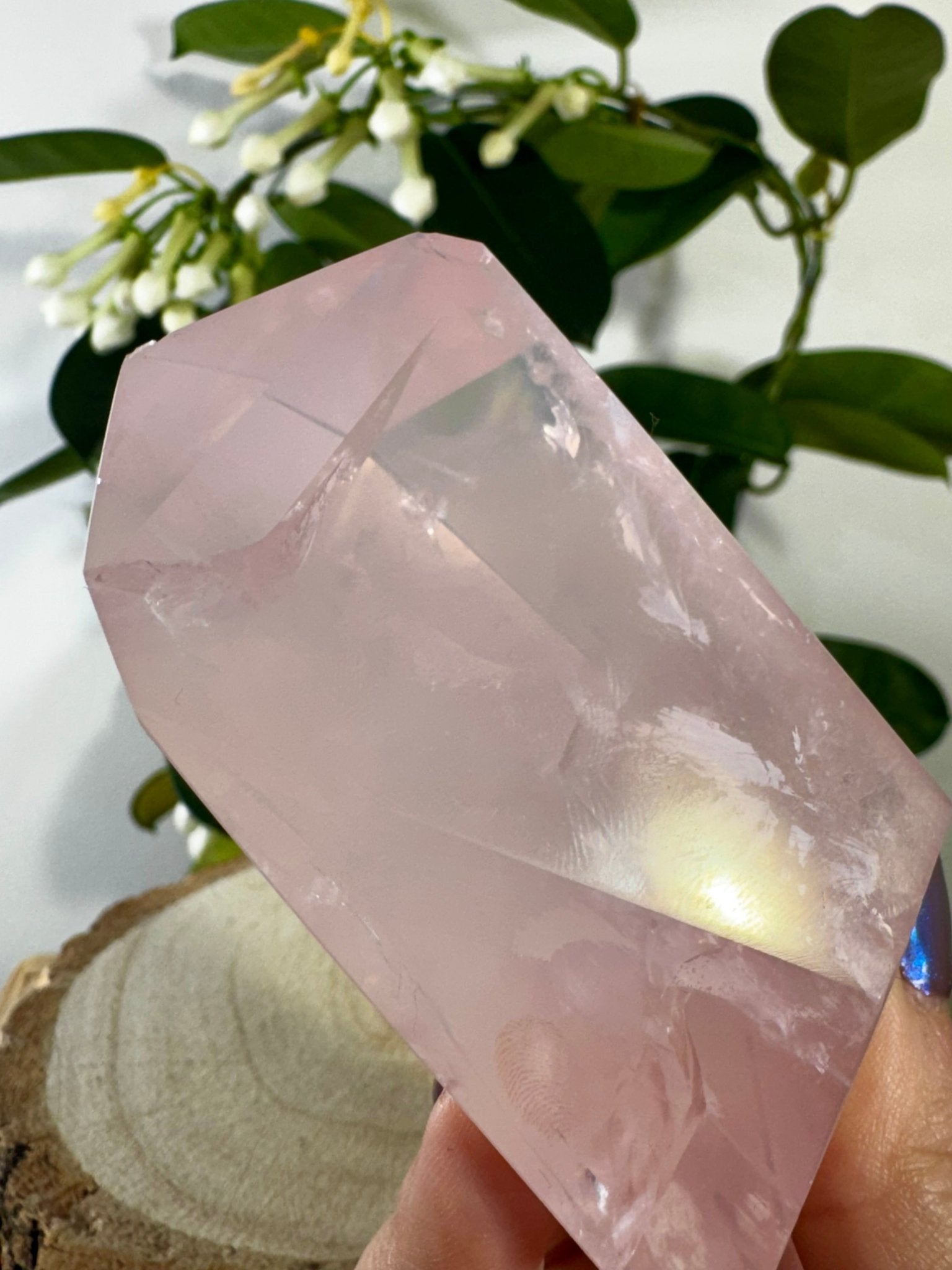 High Quality Rose Quartz Free Form | 146g | Discounted (chipped) - The Crystal Valley