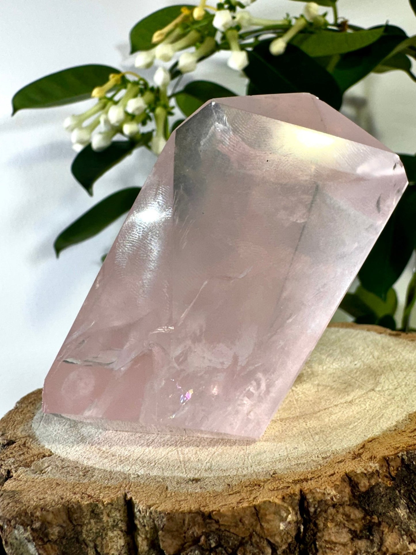 High Quality Rose Quartz Free Form | 146g | Discounted (chipped) - The Crystal Valley