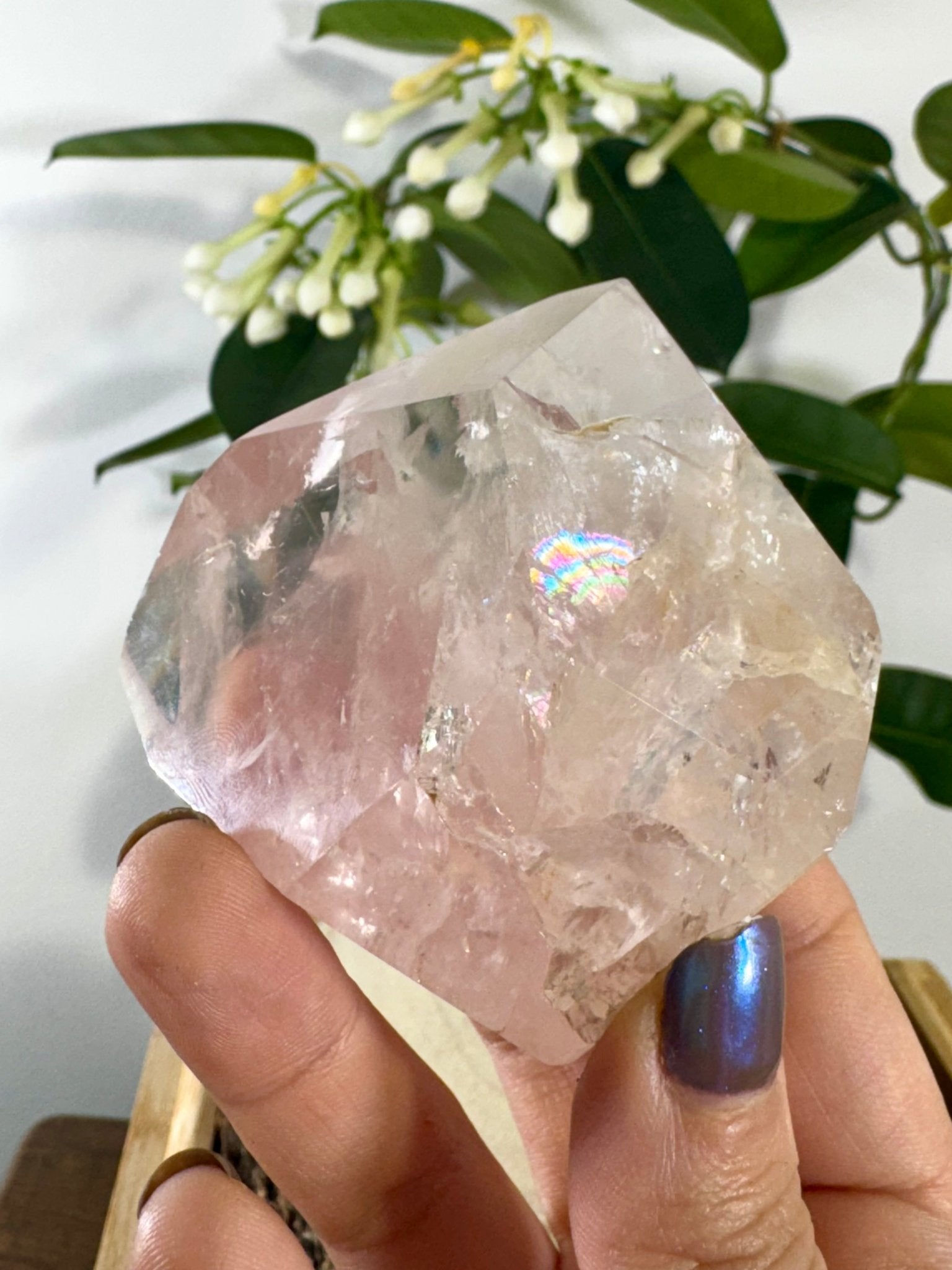 High Quality Rose Quartz Free Form | 155g - The Crystal Valley