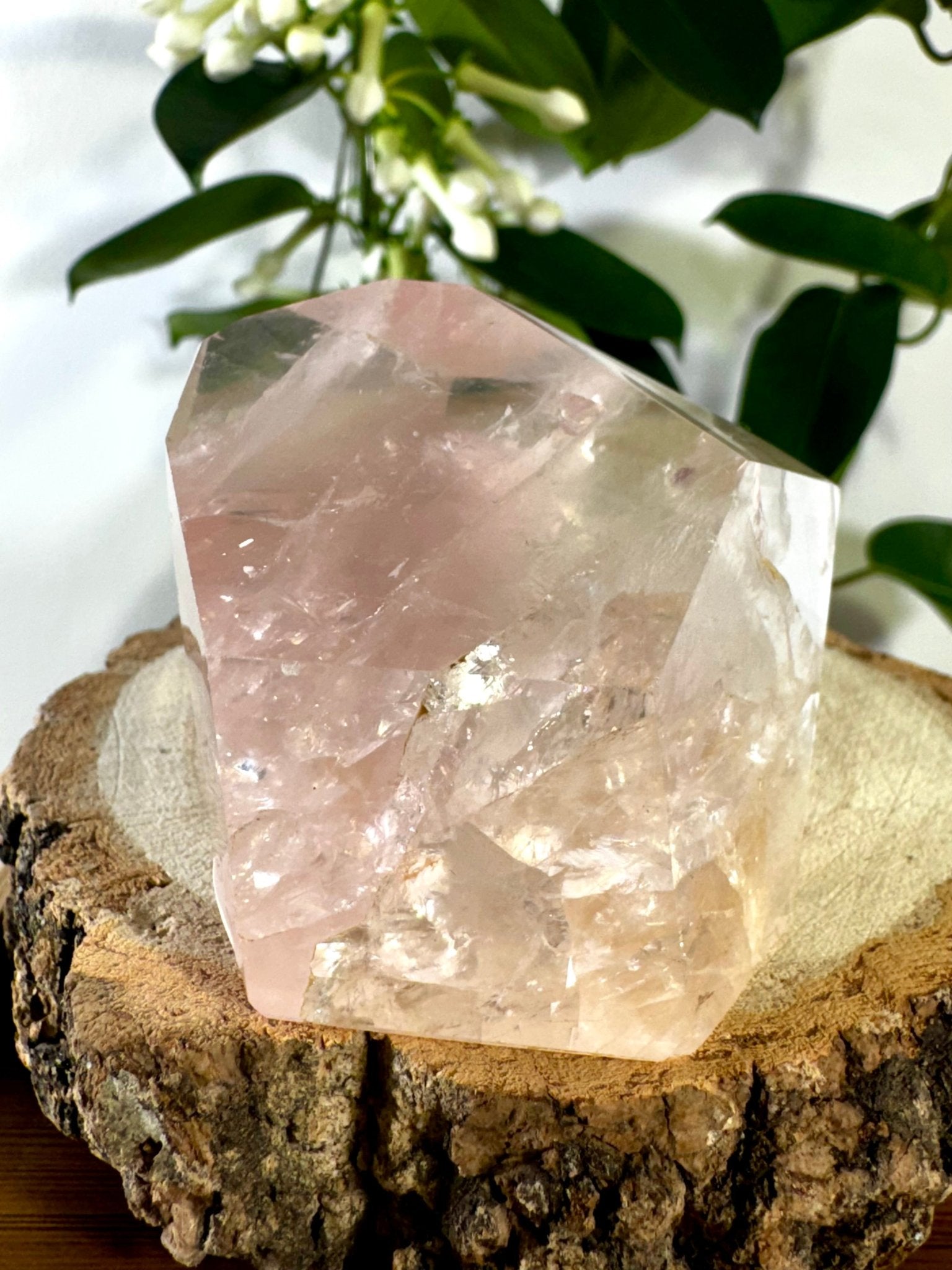 High Quality Rose Quartz Free Form | 155g - The Crystal Valley