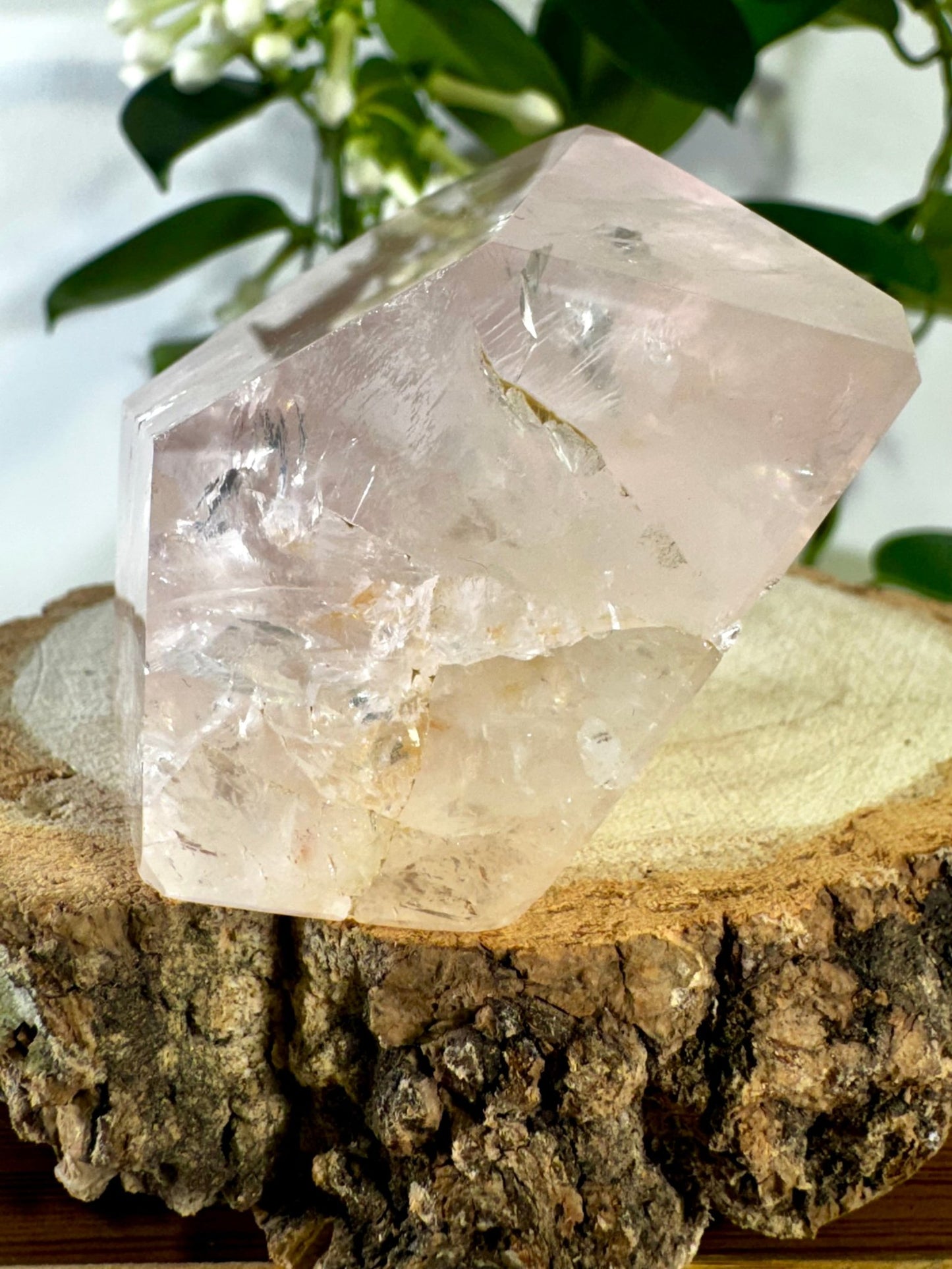 High Quality Rose Quartz Free Form | 155g - The Crystal Valley
