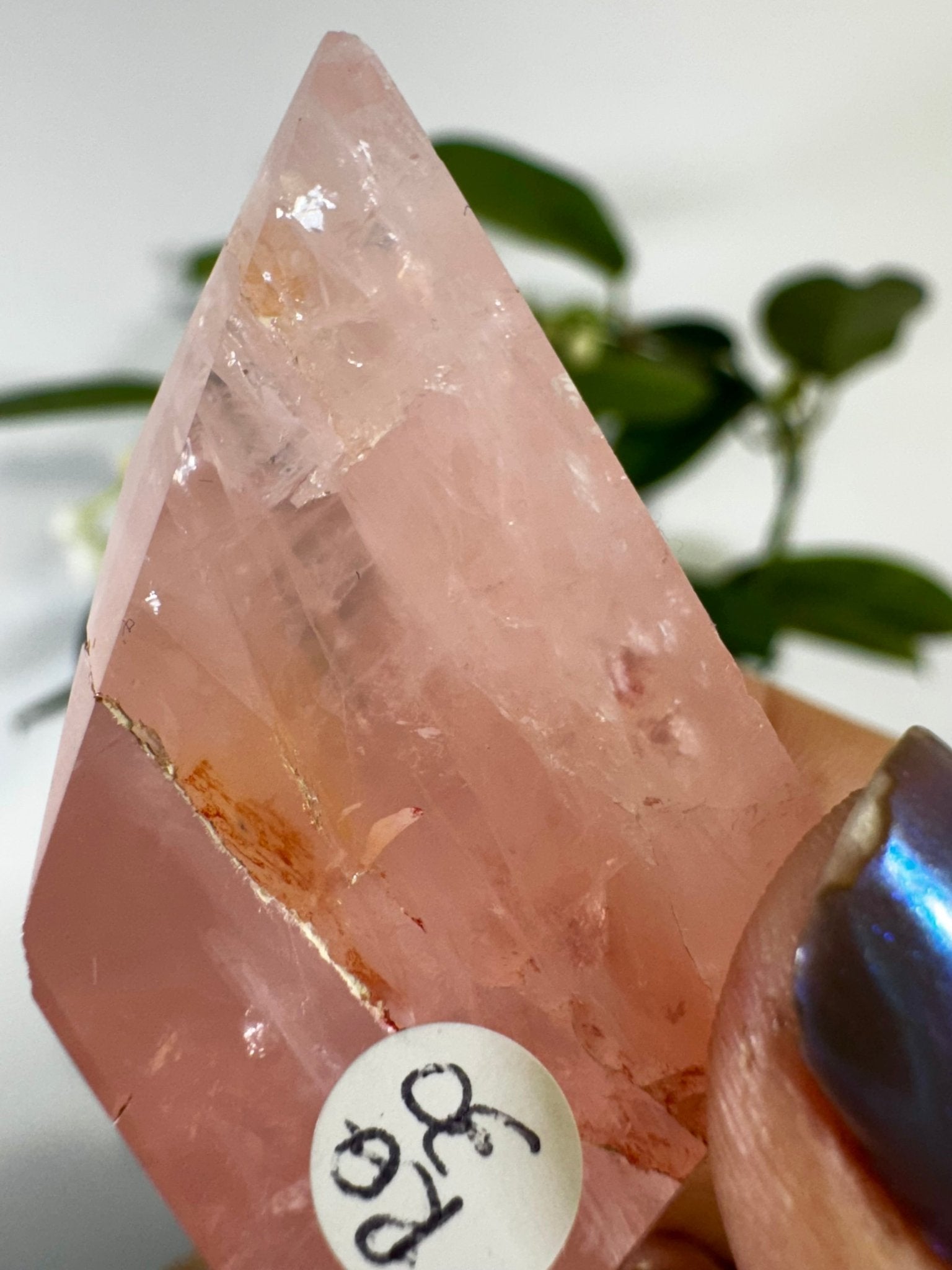 High Quality Rose Quartz Free Form | 37g - The Crystal Valley
