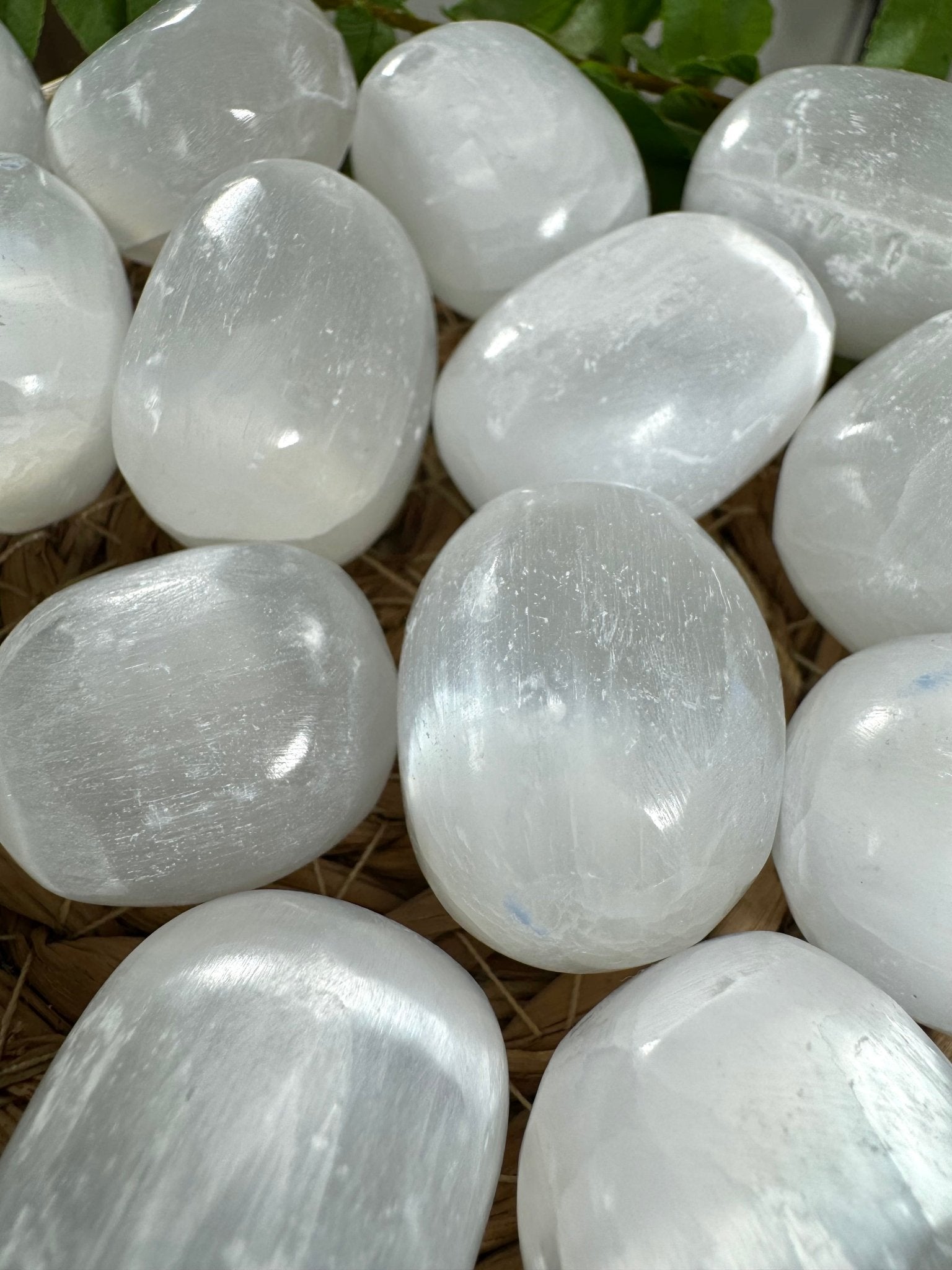 High Quality Selenite Tumbles | Medium / Large Sizes - Intuitively Chosen - The Crystal Valley