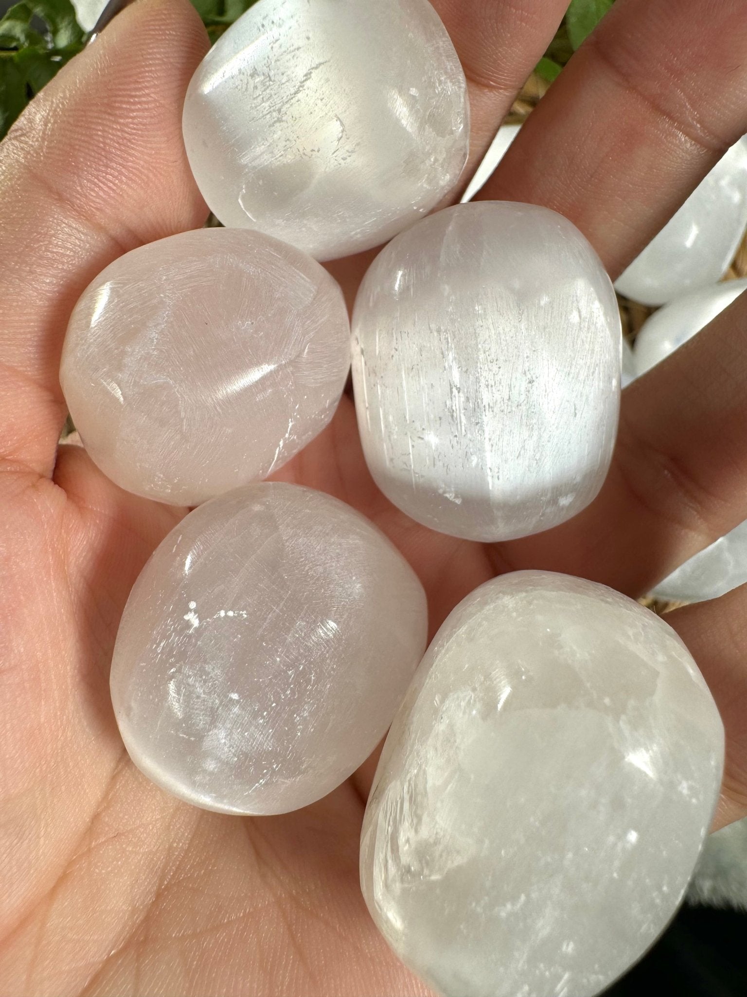 High Quality Selenite Tumbles | Medium / Large Sizes - Intuitively Chosen - The Crystal Valley