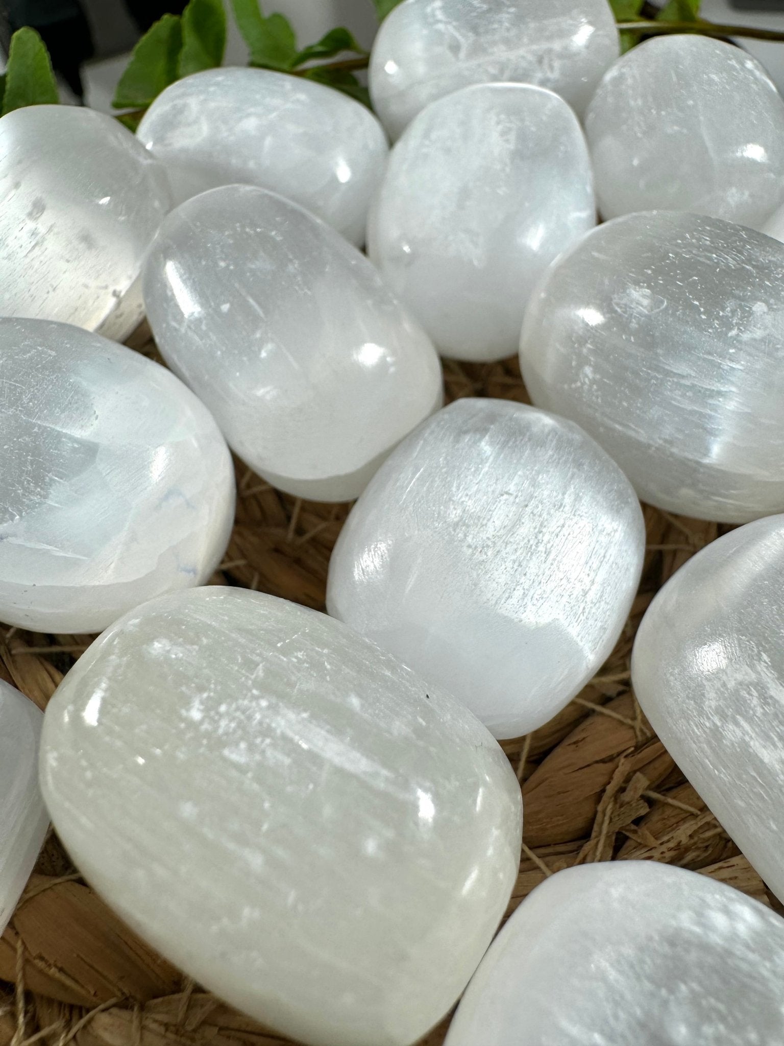 High Quality Selenite Tumbles | Medium / Large Sizes - Intuitively Chosen - The Crystal Valley