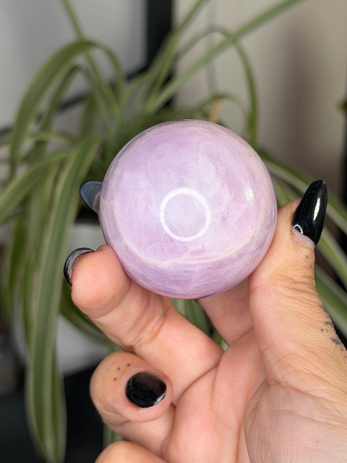 Kunzite Sphere | 126g - The Crystal Valley